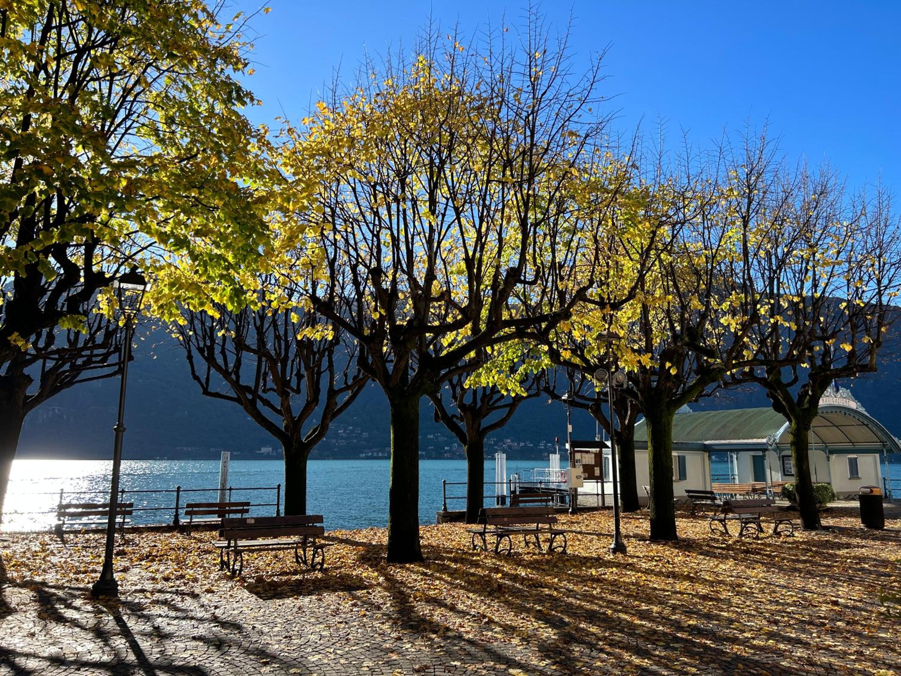 Il Mallo Verde - Lake Como B&B photo 5