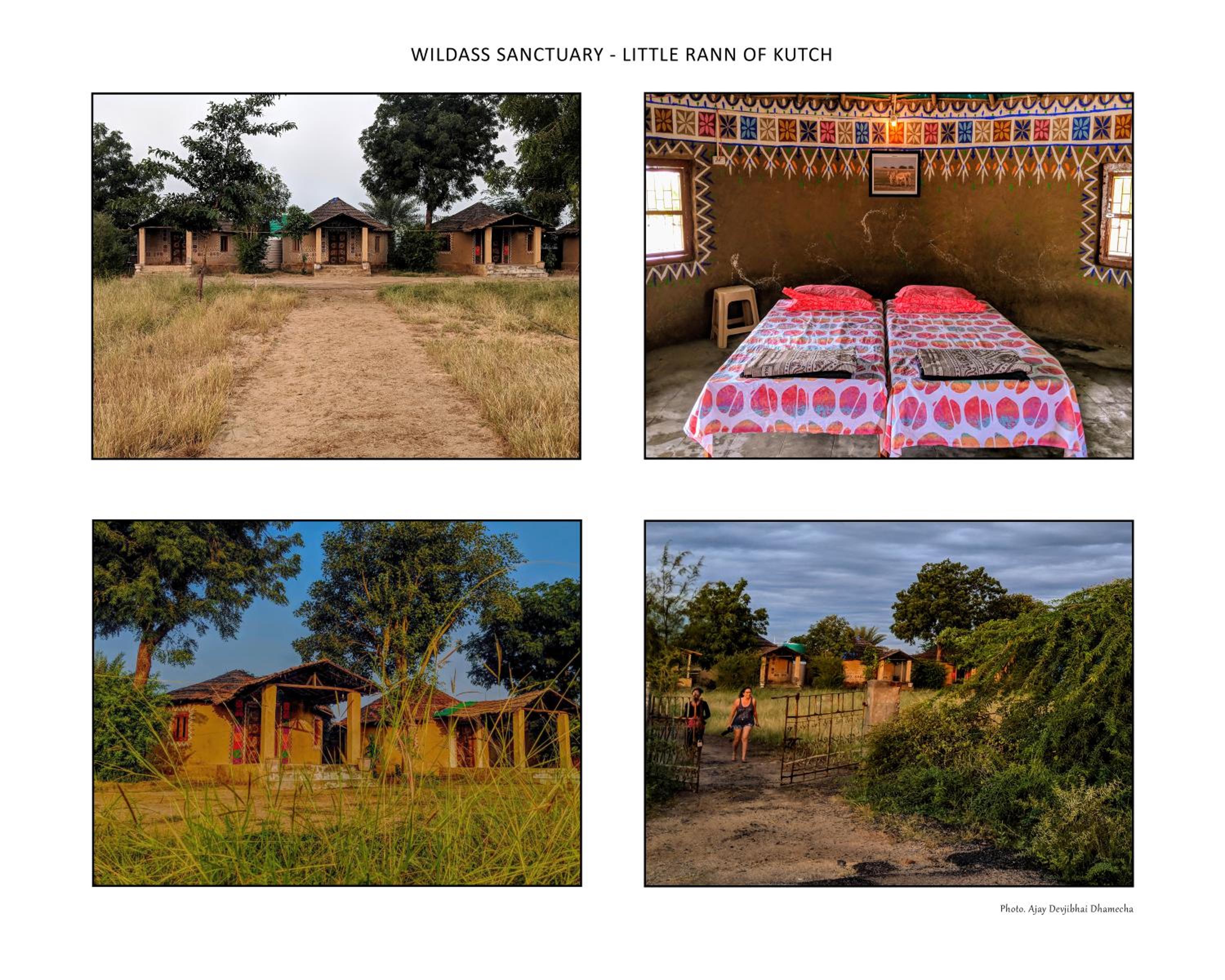 Eco Tour Camp