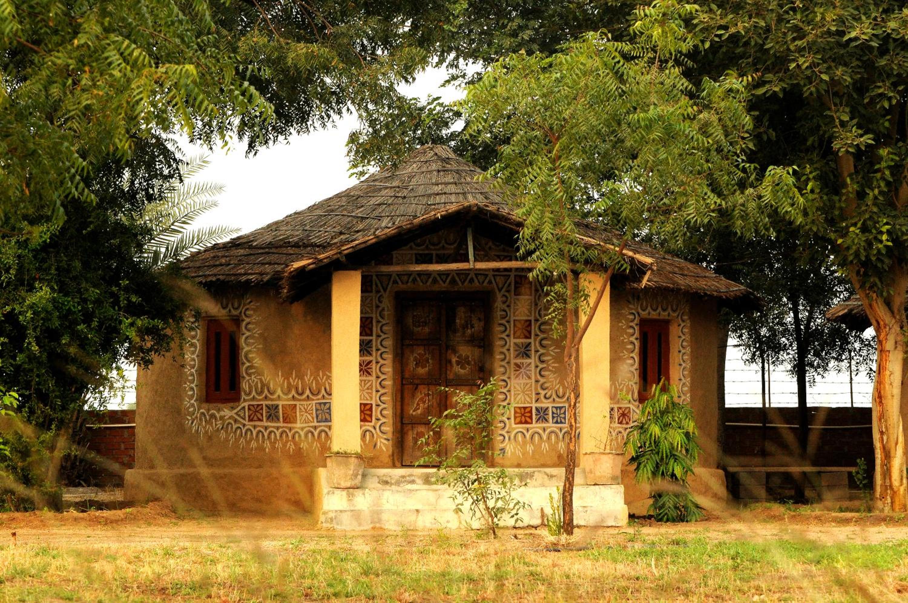Eco Tour Camp