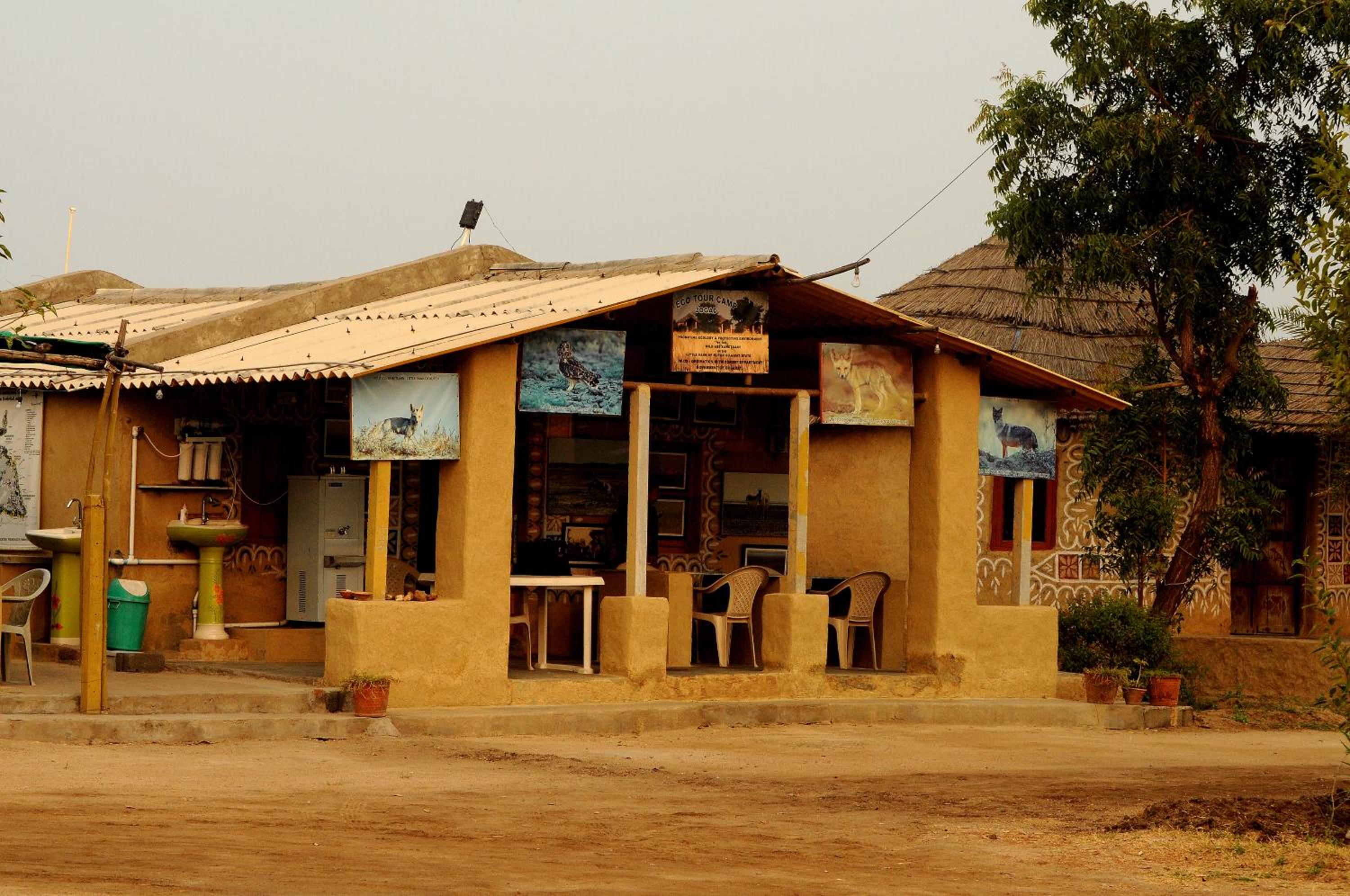 Eco Tour Camp
