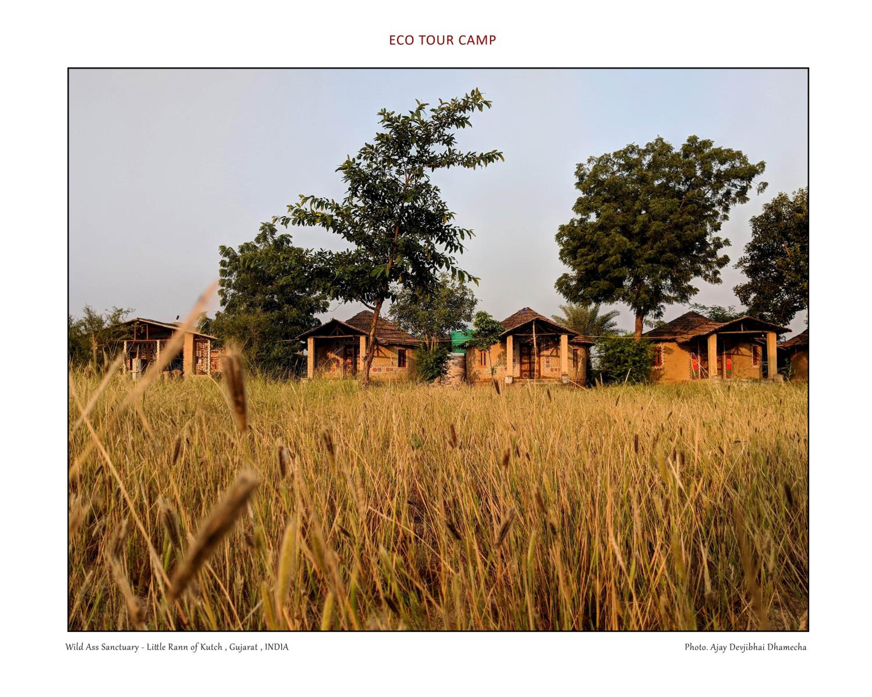Eco Tour Camp