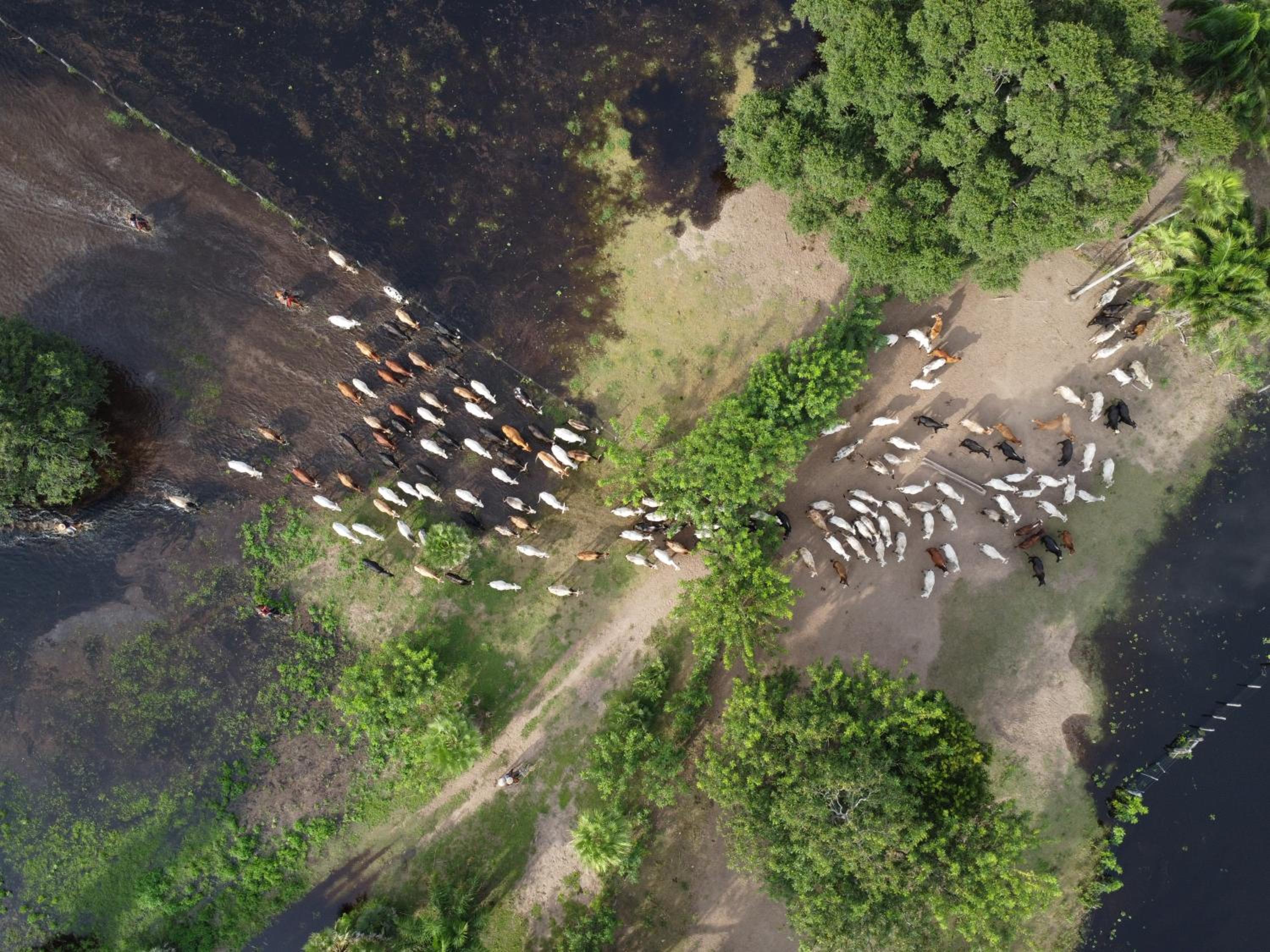 Hostel Camping Road Park Pantanal Sul