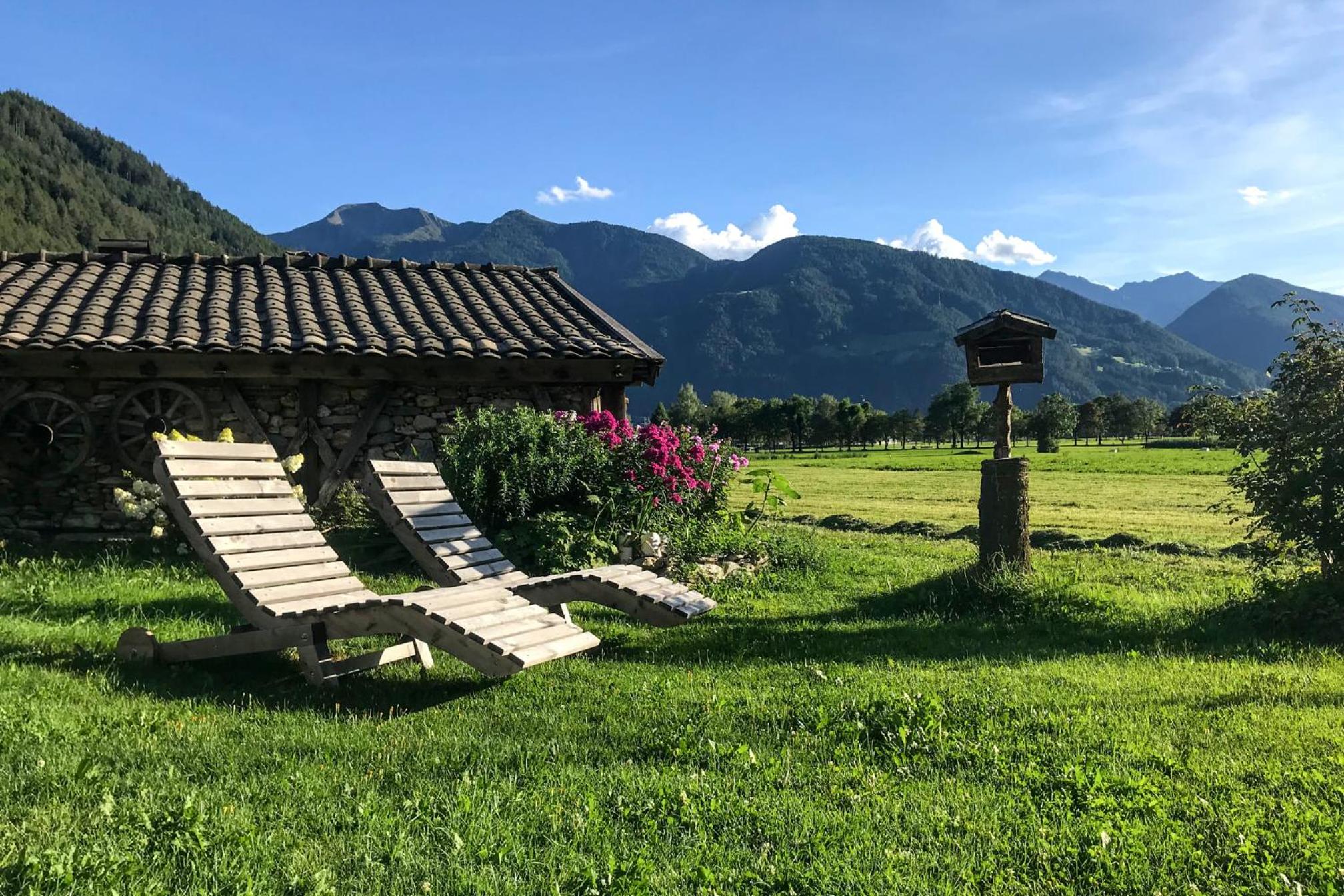 Rieplhof - Relaxing farm stay with breakfast and mountain view