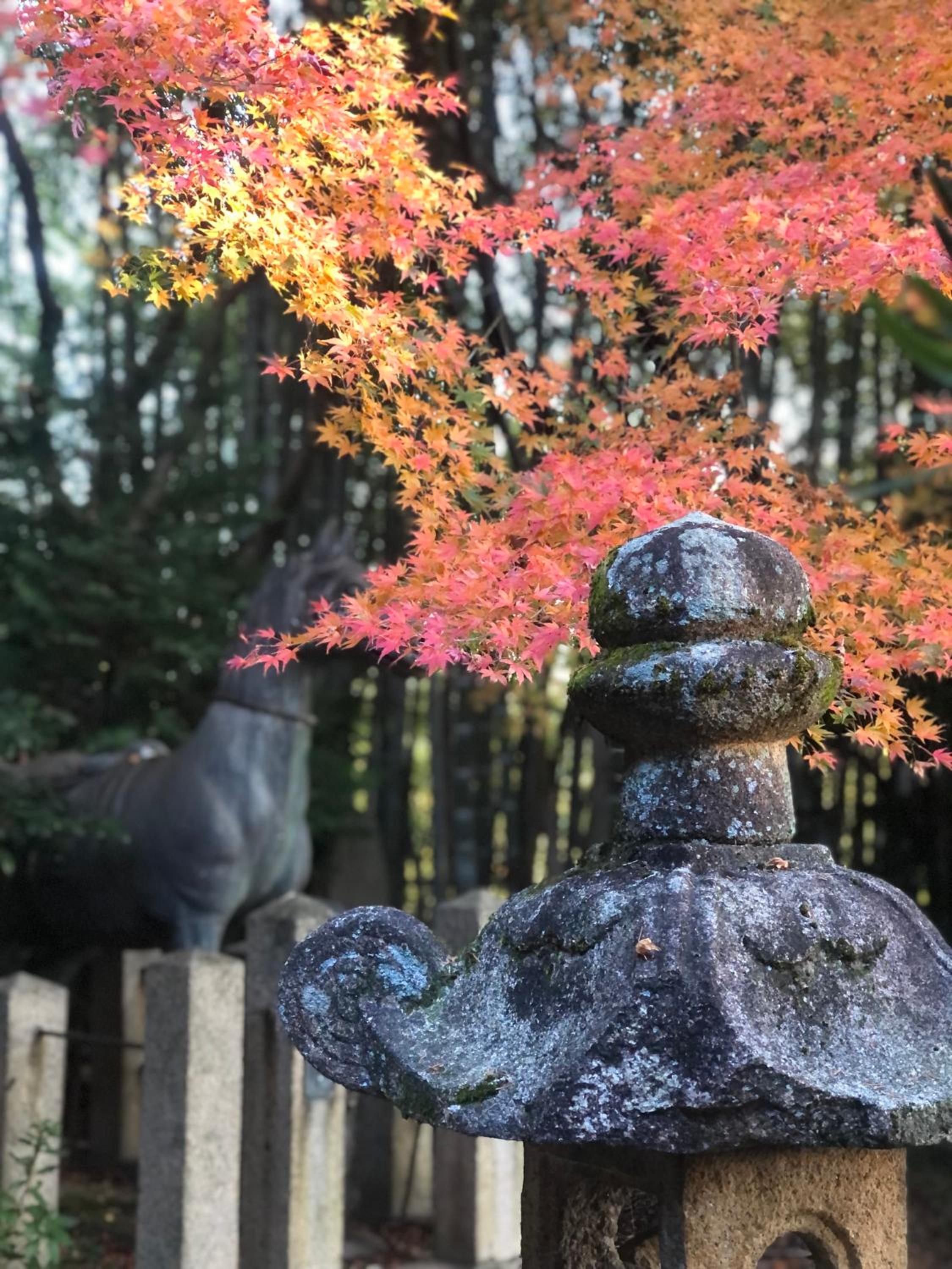 Inari-Home