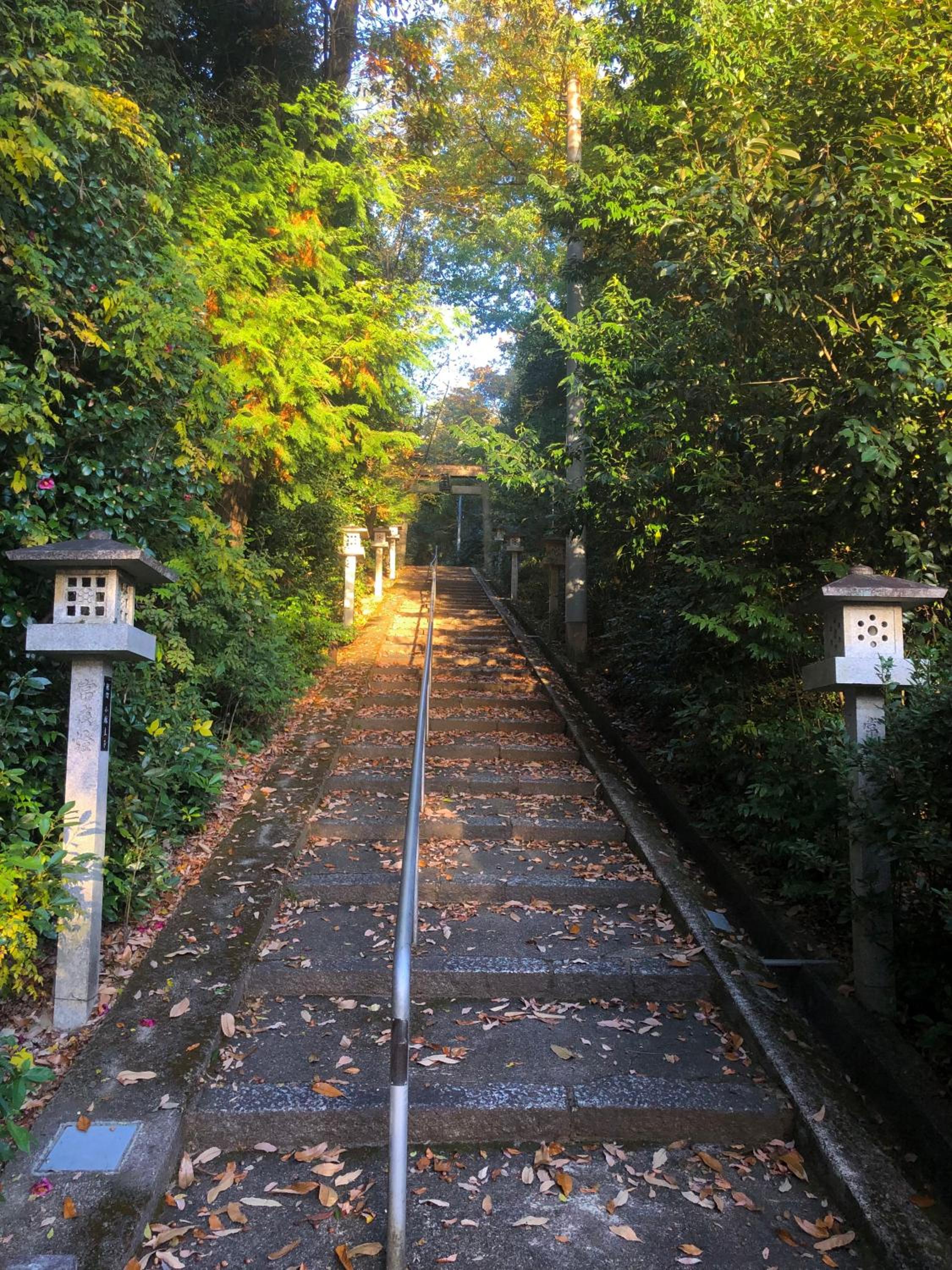 Inari-Home