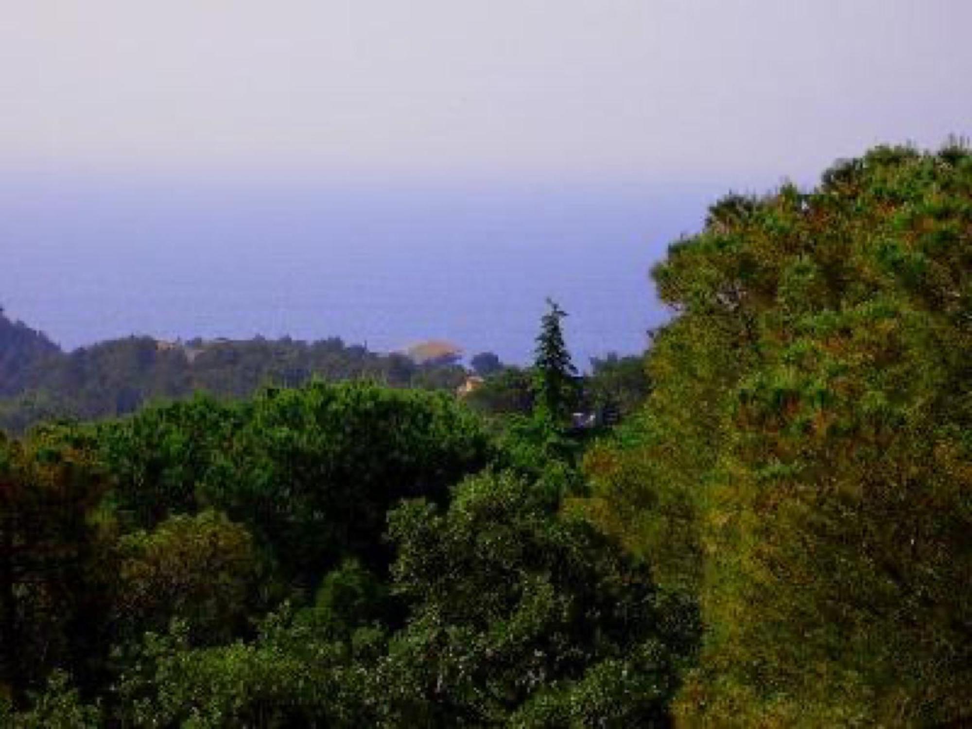 Apartamento Corinna