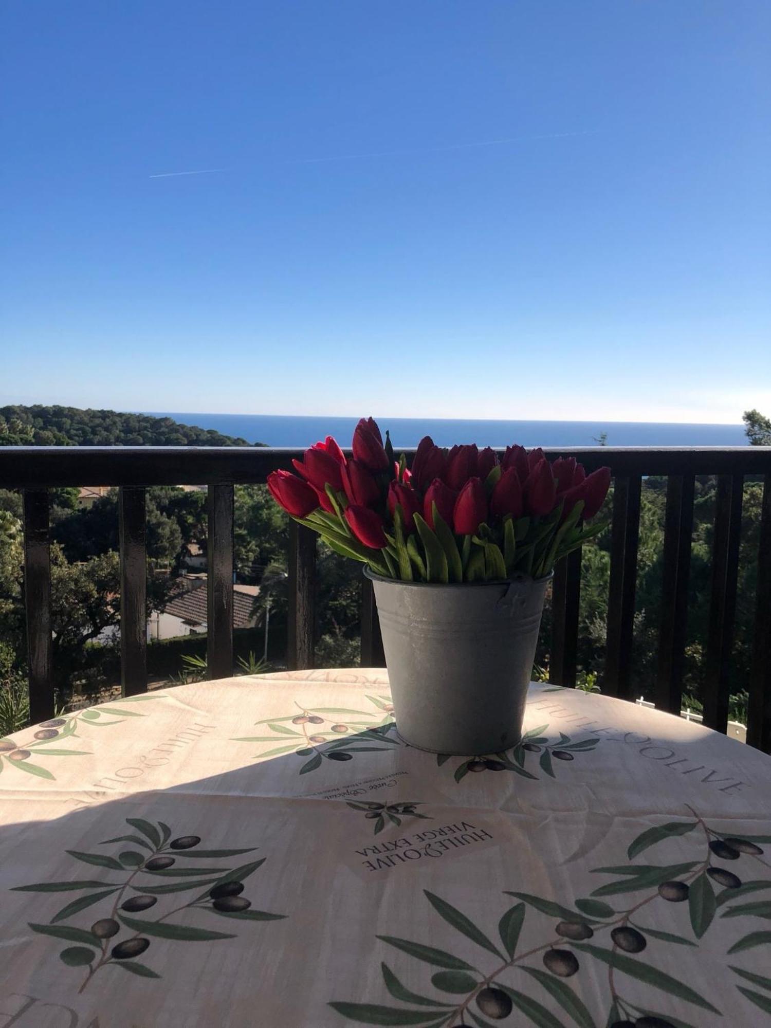 Apartamento Corinna
