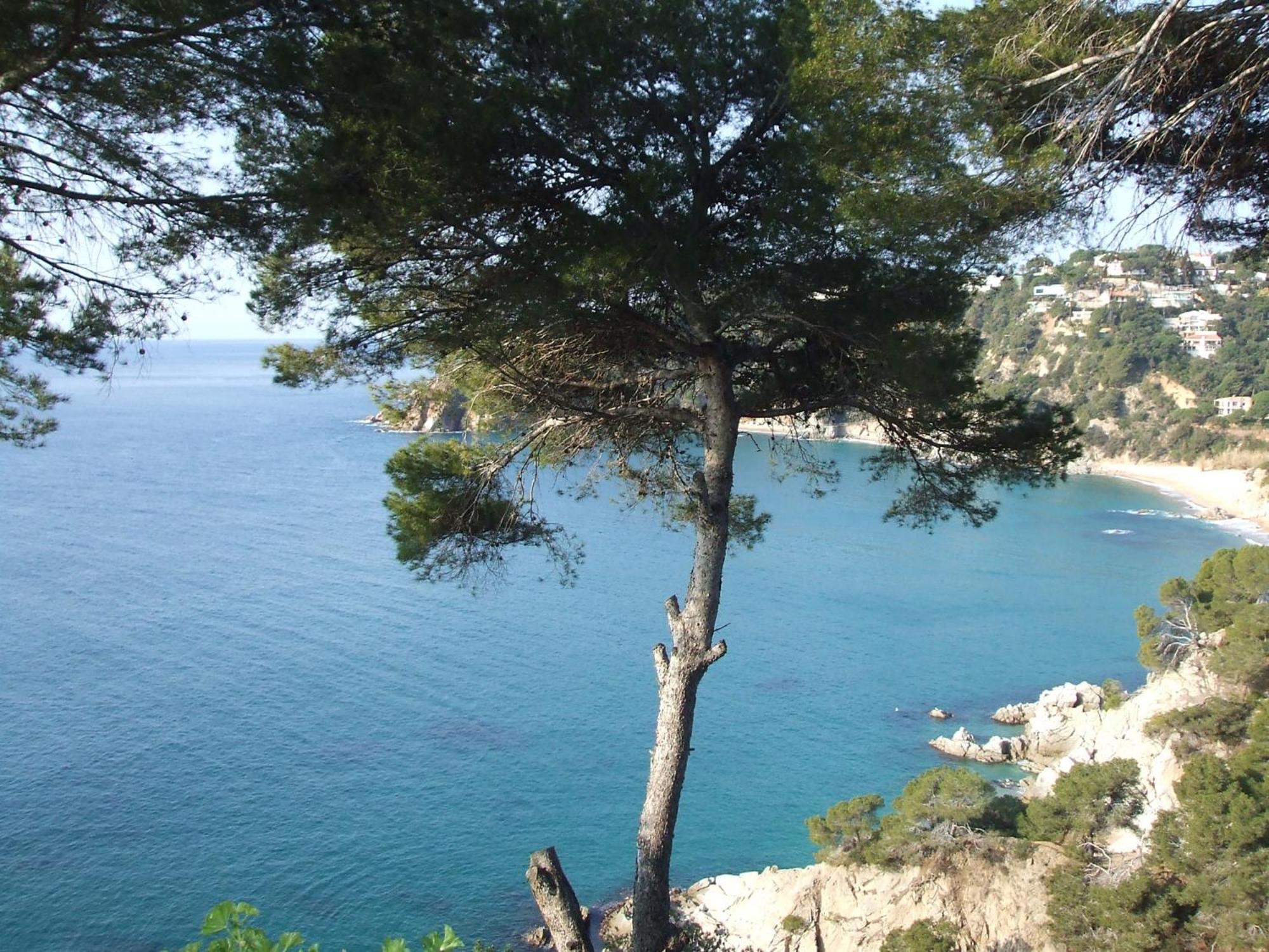 Apartamento Corinna