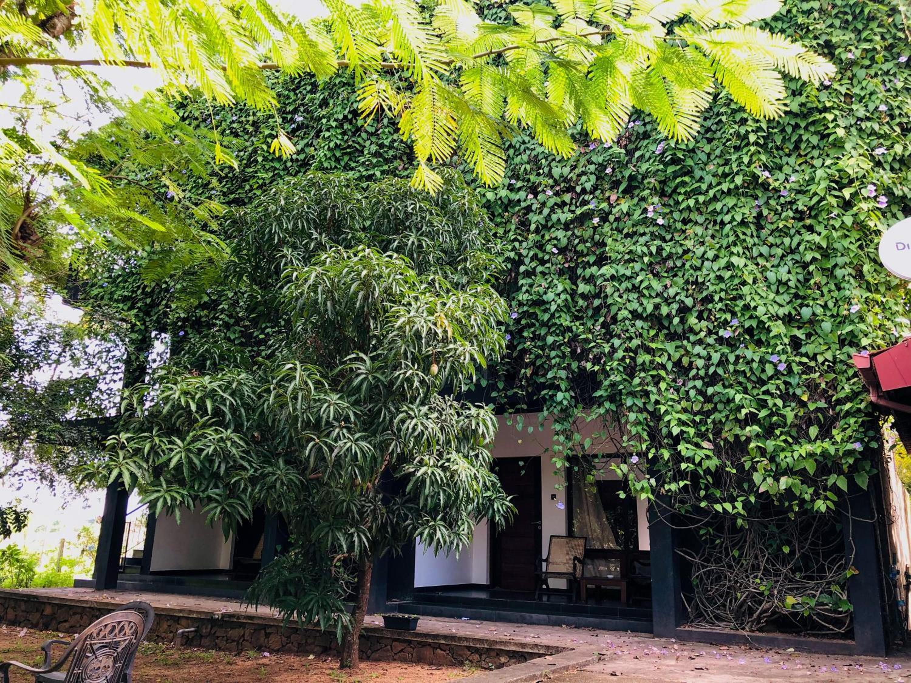 Dambulla Rock Arch view 5