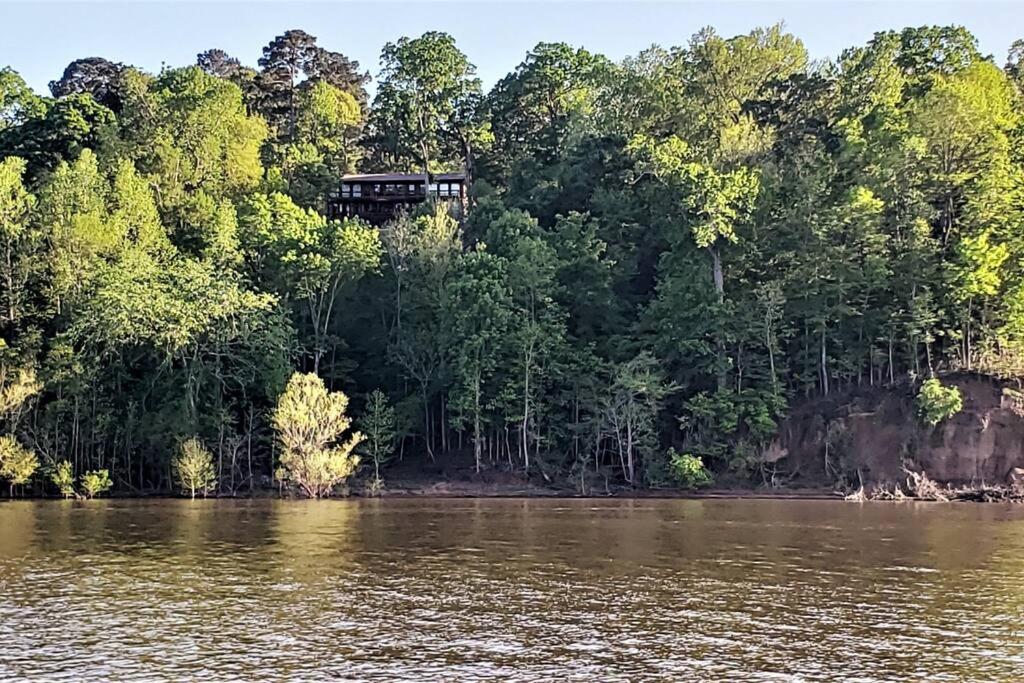 Waterfront Hide-a-way Lodge on Big Sam! view 3