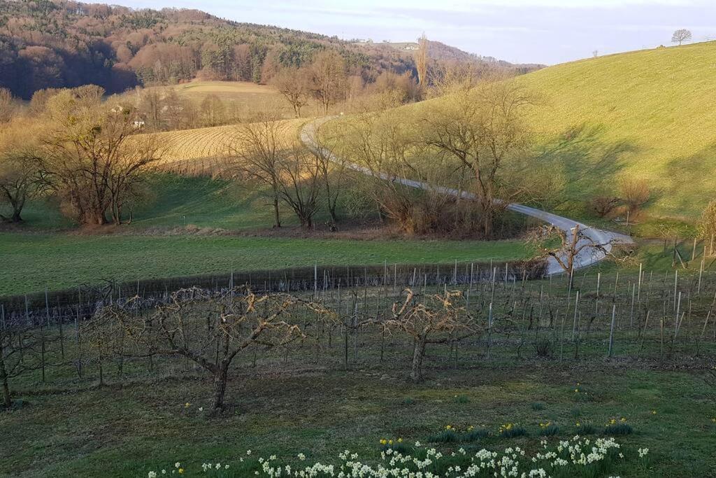 Einzigartiger Vierkanthof