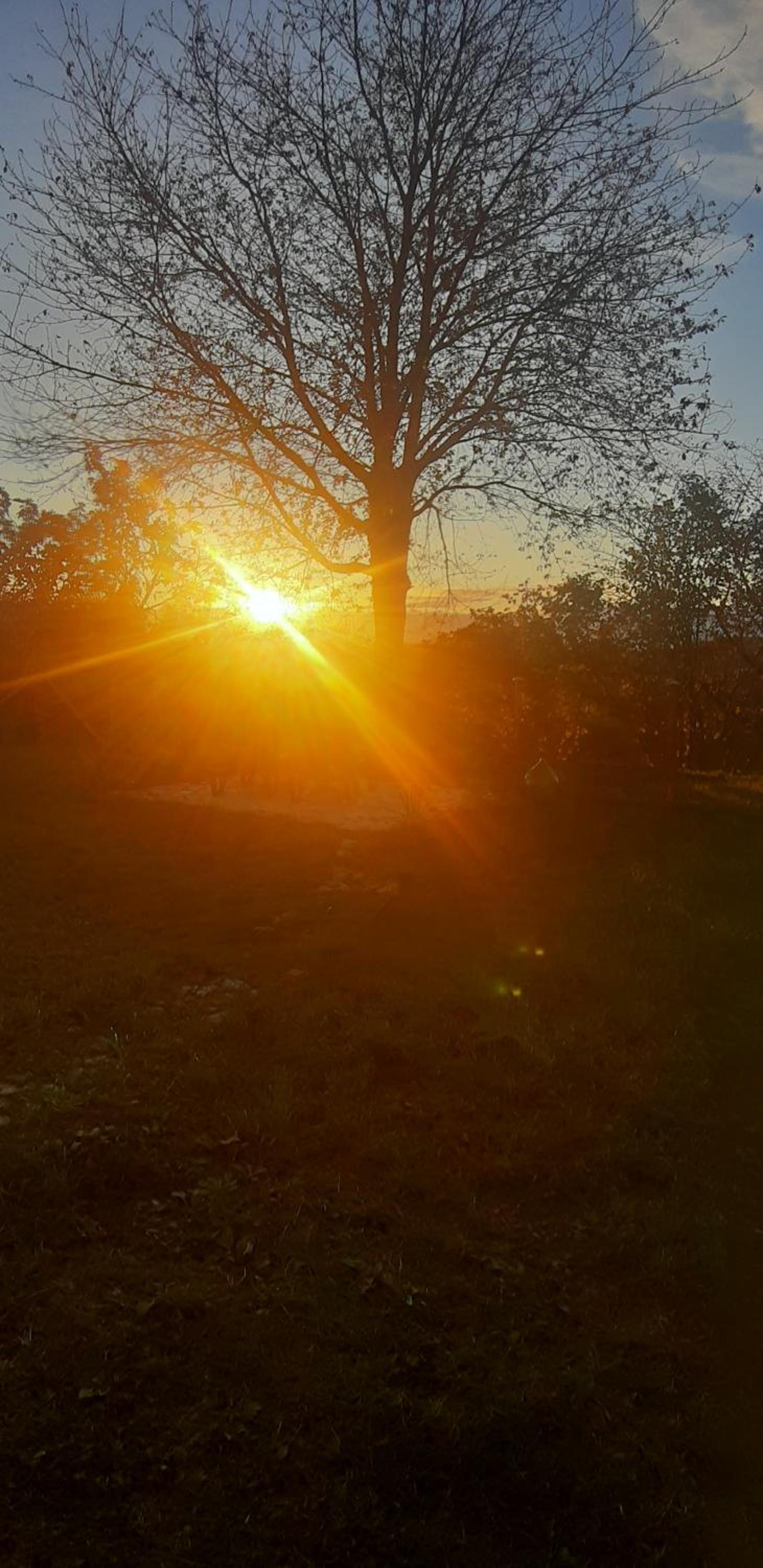 CASCINA BINELLO appartamento B