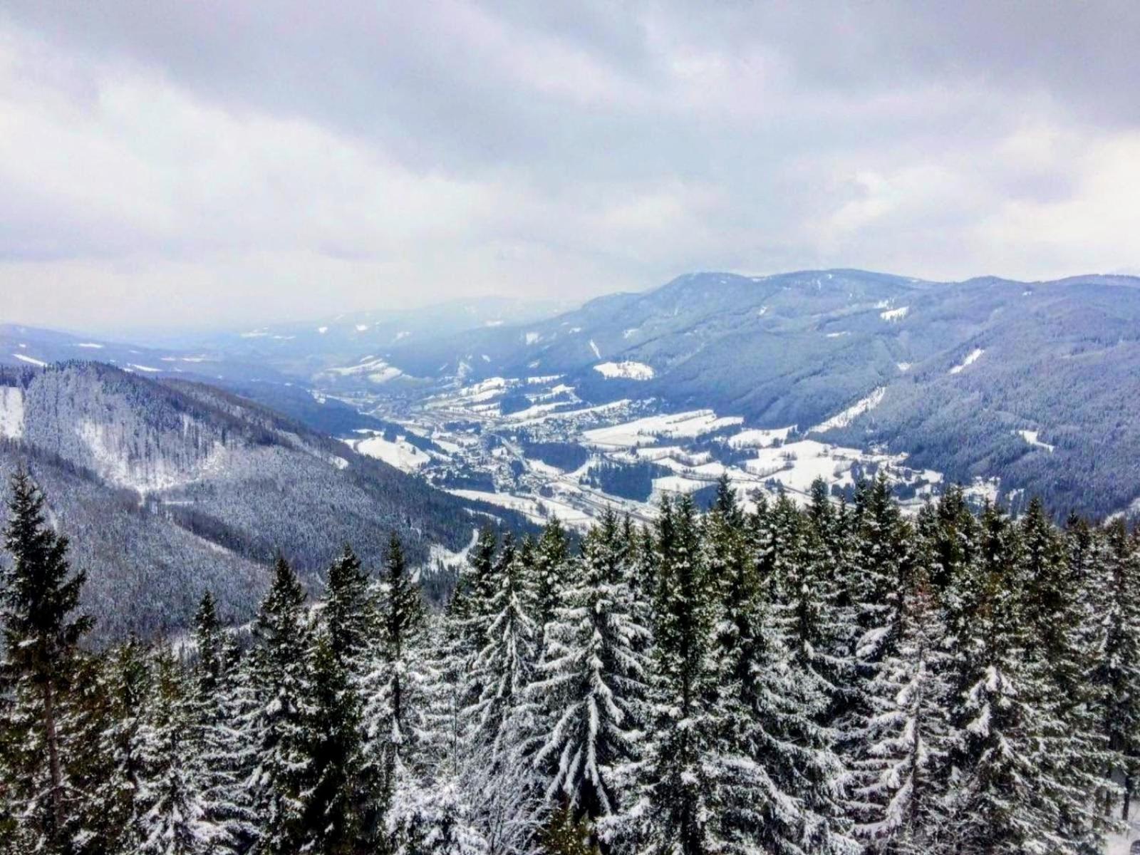 Art in Waldfrieden