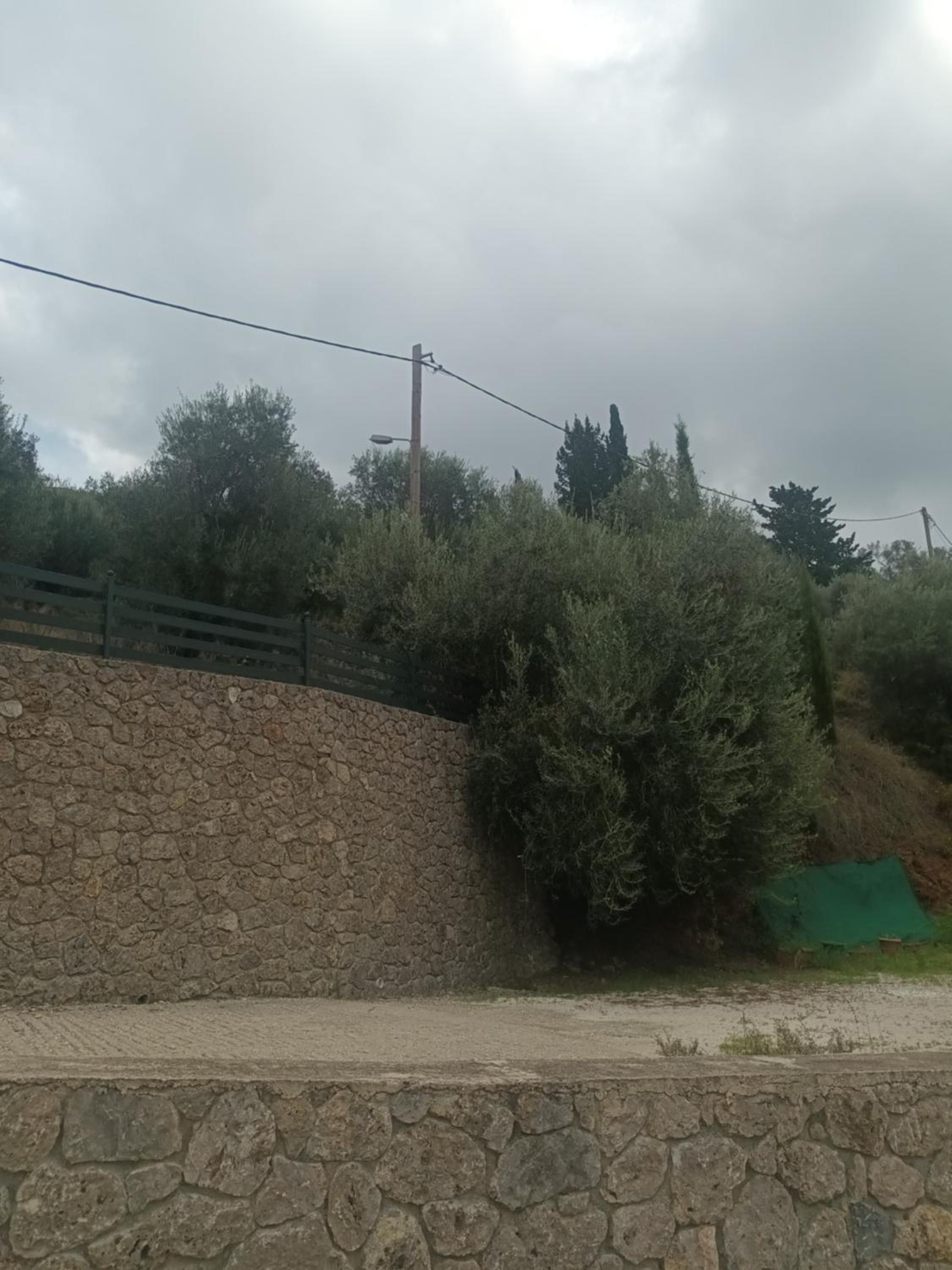 Photo 38