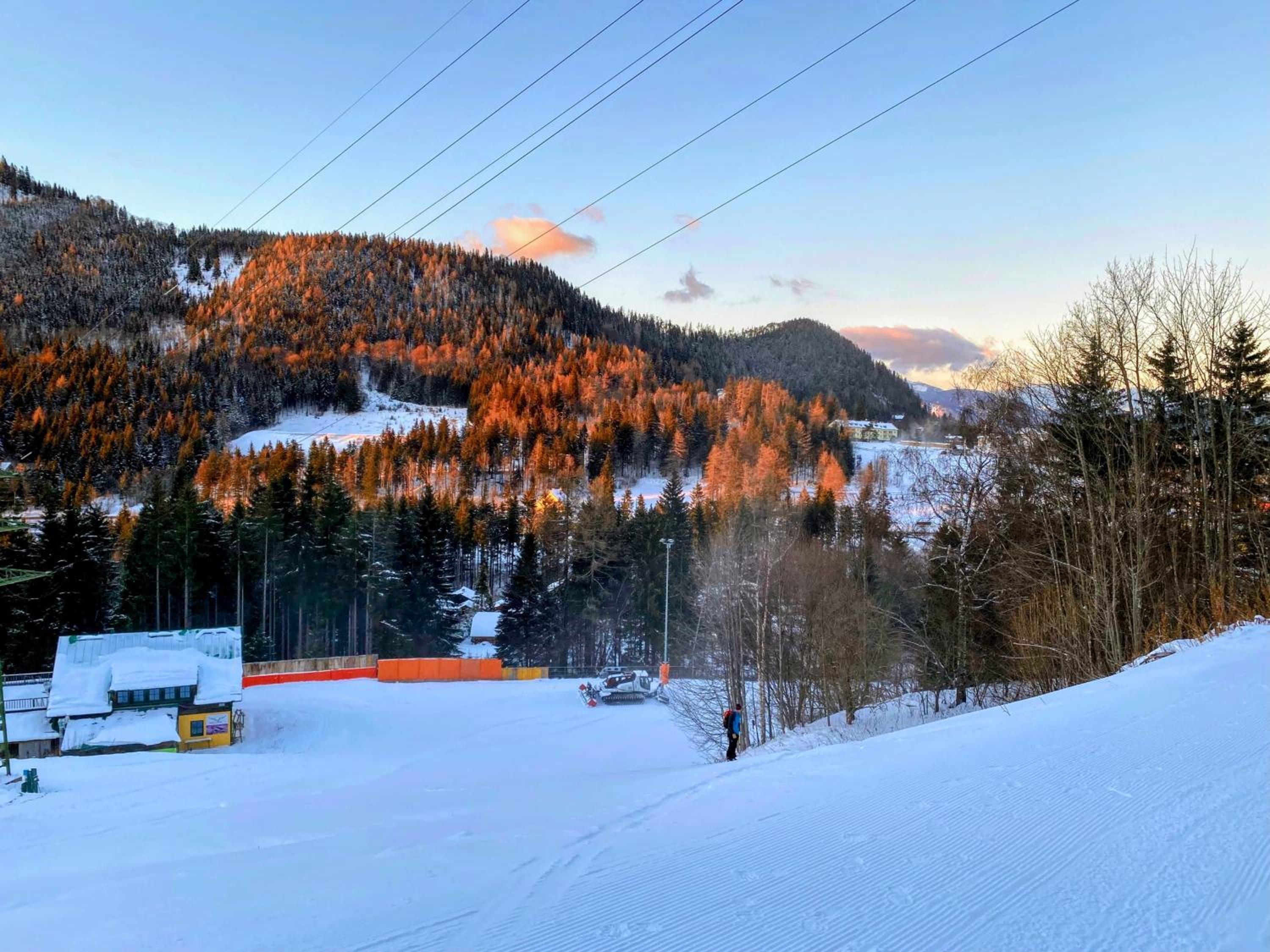 Art in Waldfrieden