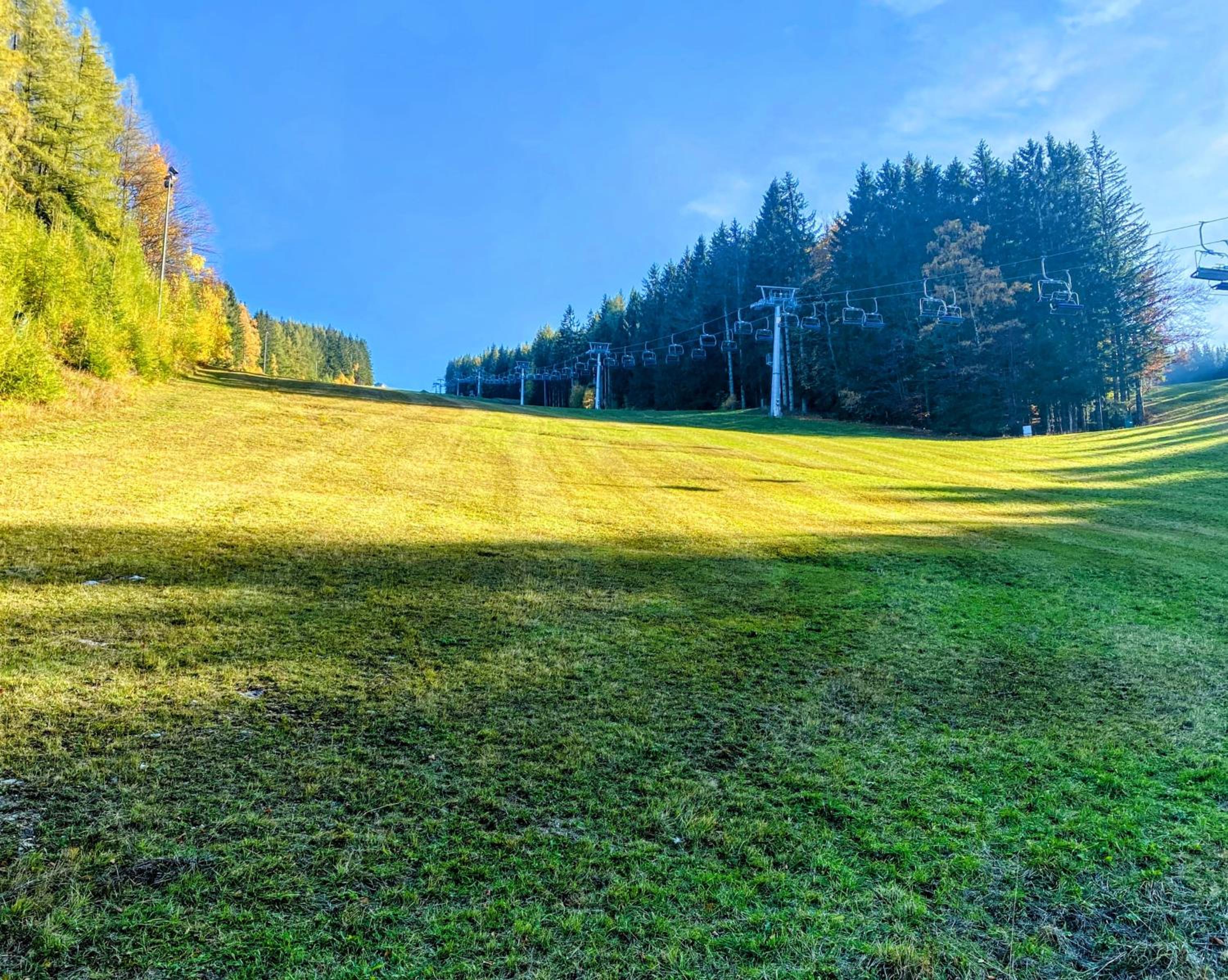 Art in Waldfrieden