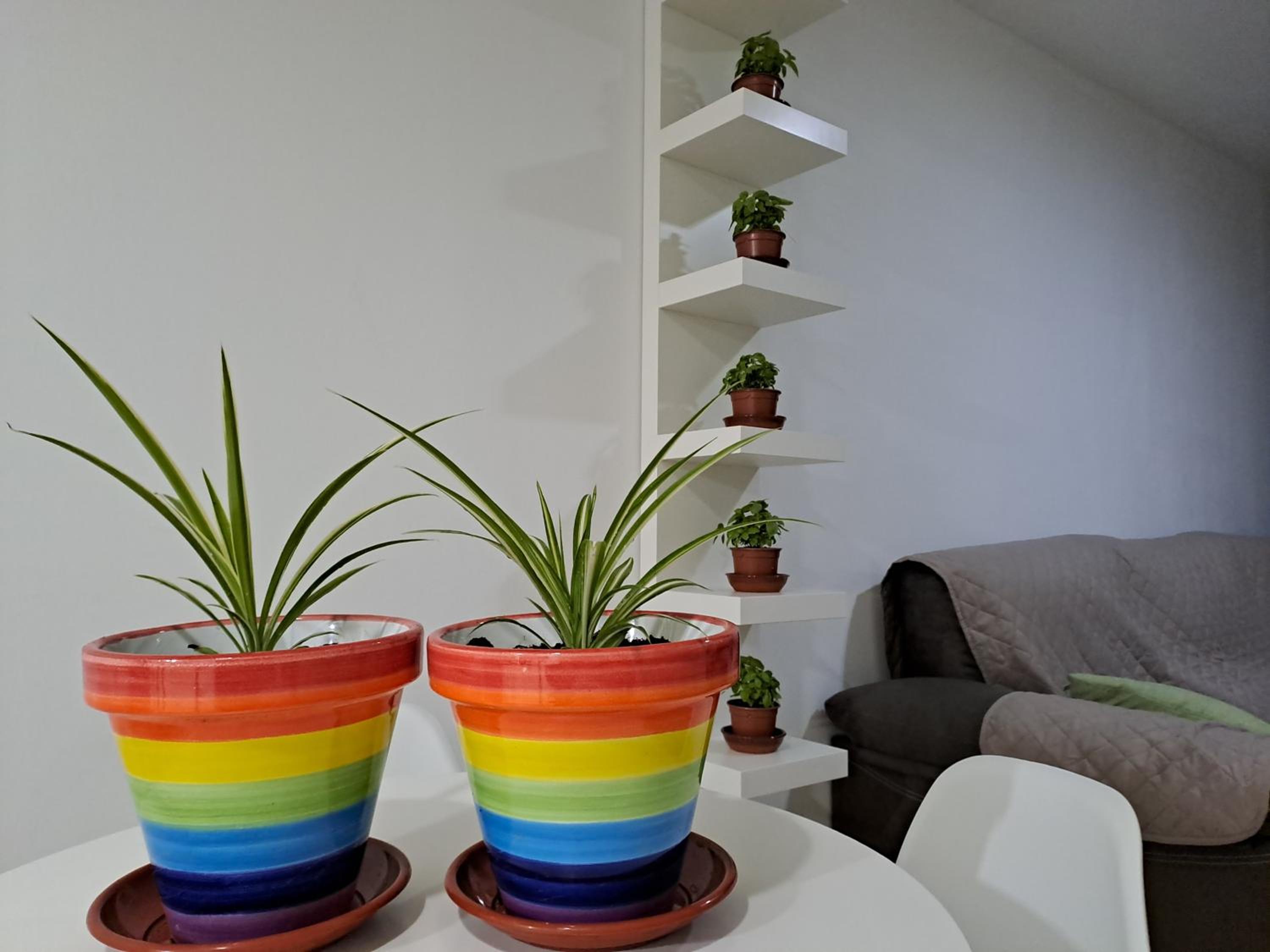 Apartamento Toyo, Parque natural cabo de gata