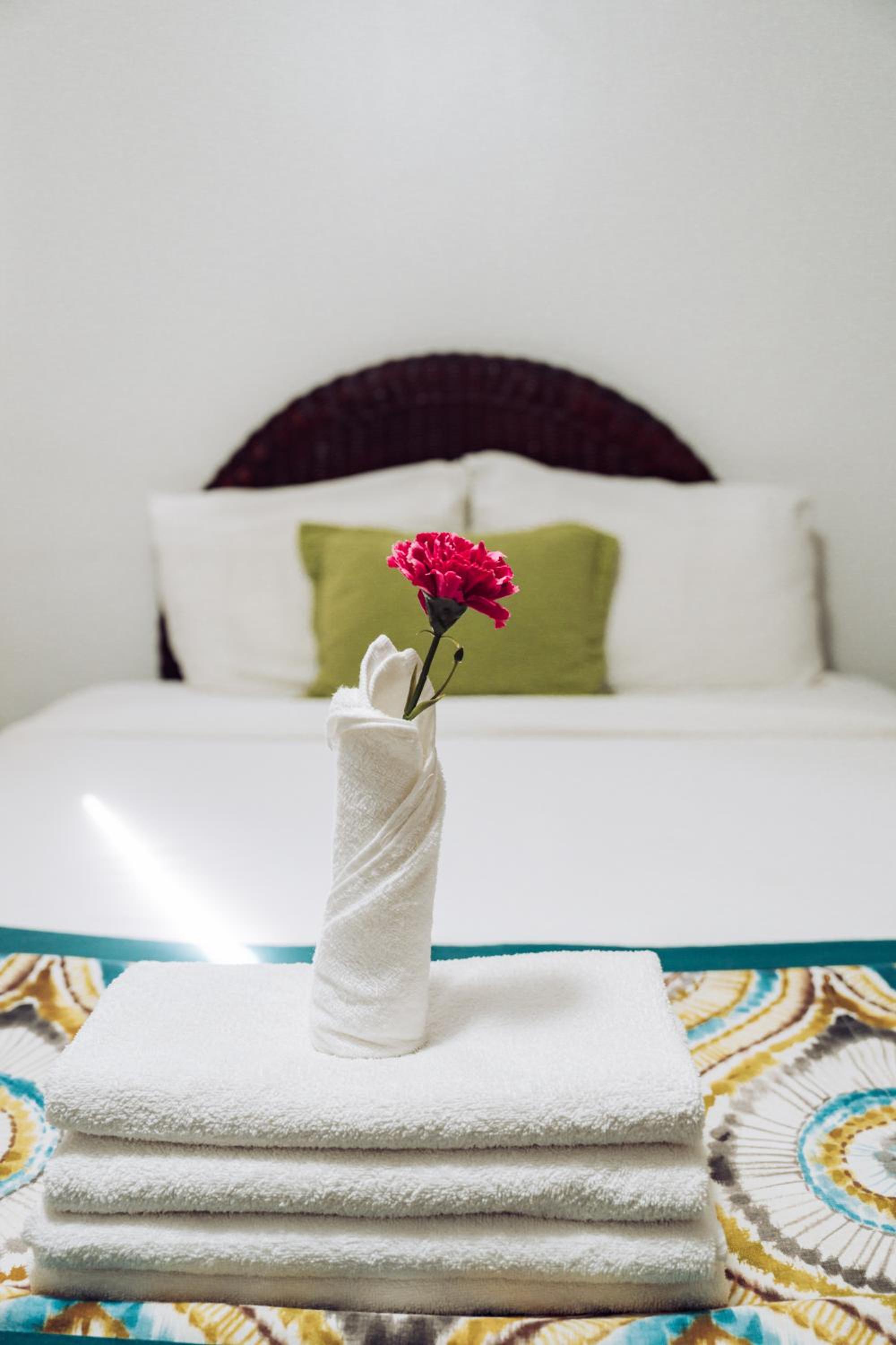 Riviera Punta Cana Eco Travelers