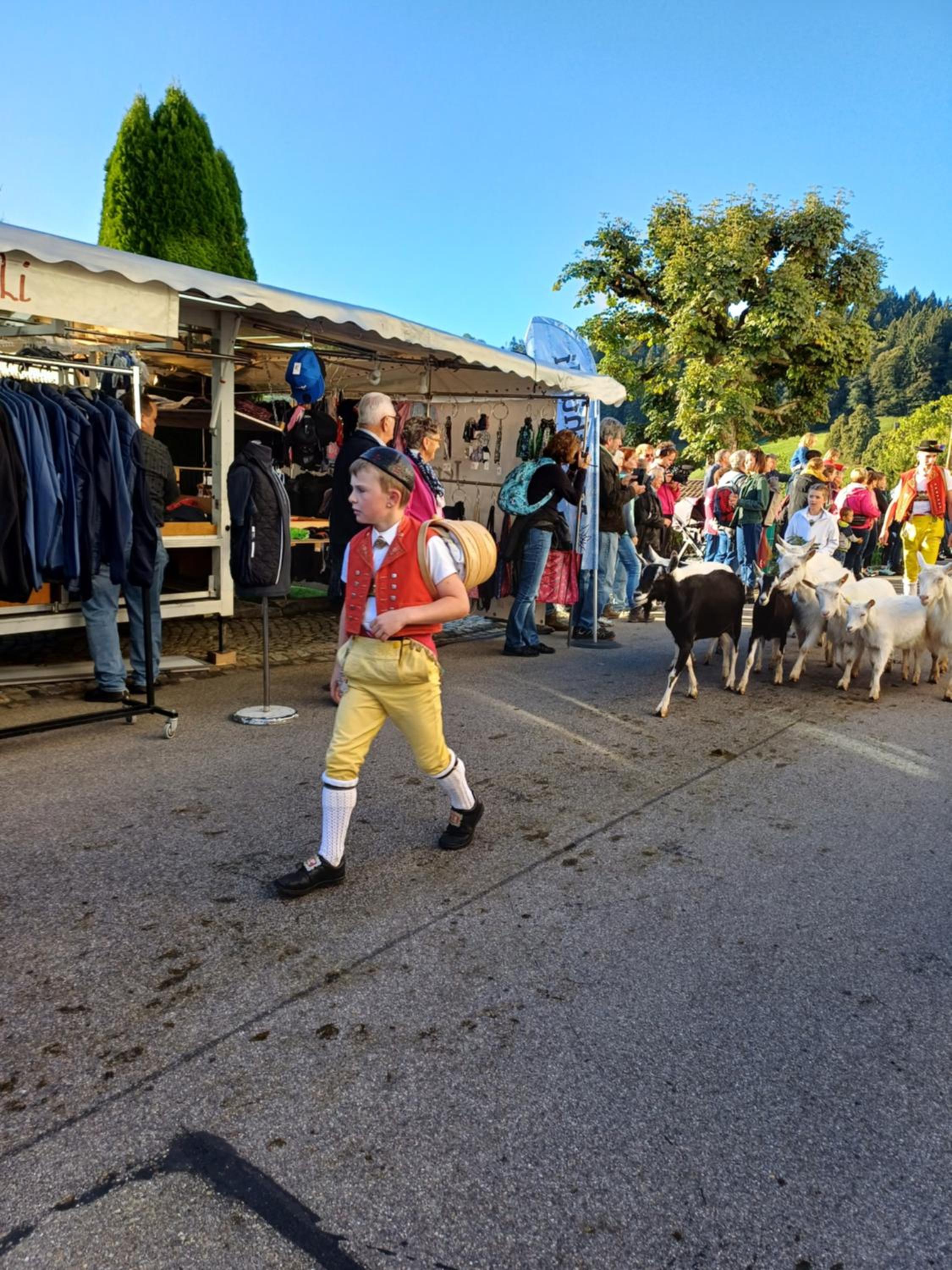 Schwellbrunn,Ferienwohnung mit Säntissicht