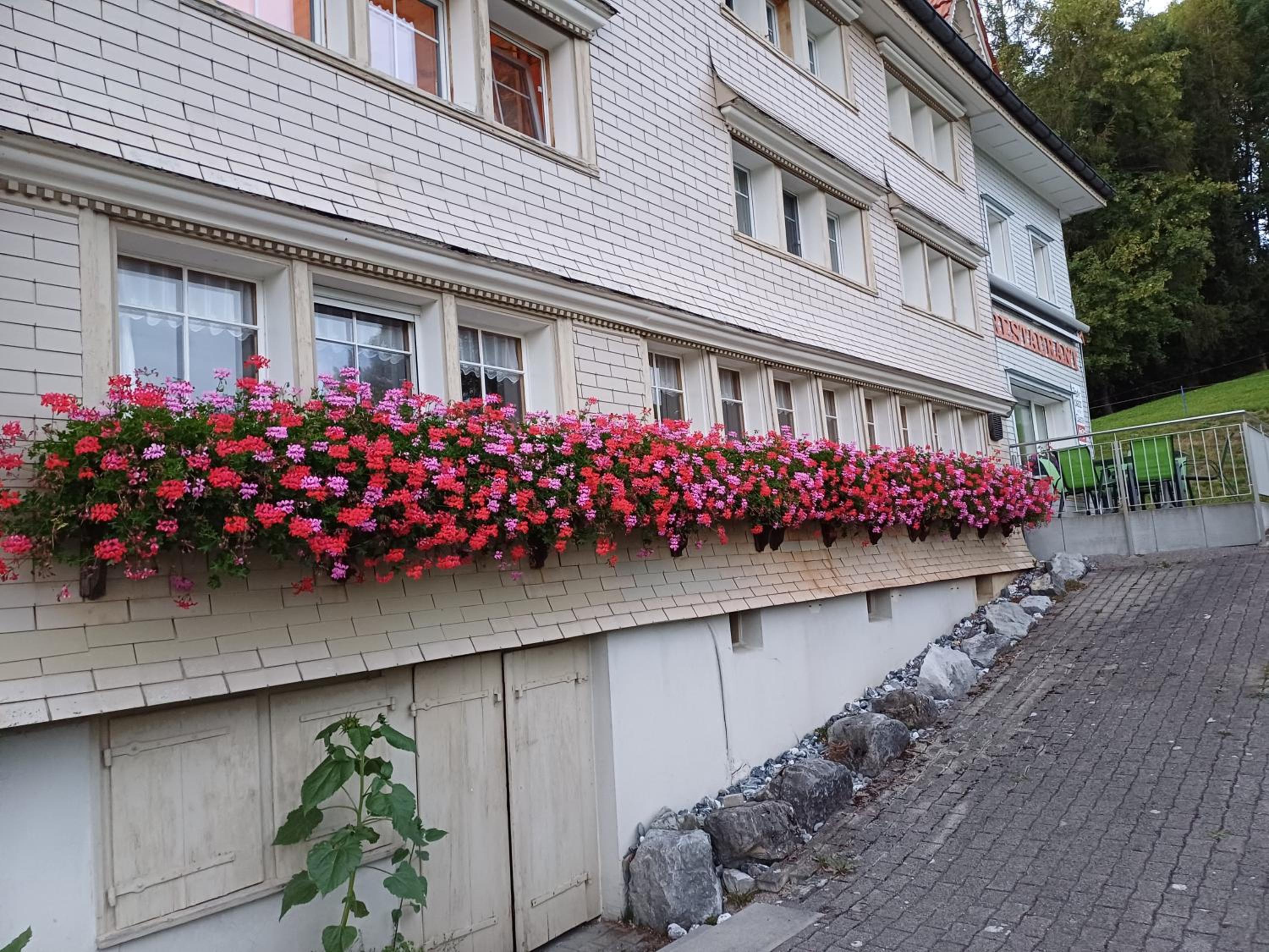 Schwellbrunn,Ferienwohnung mit Säntissicht