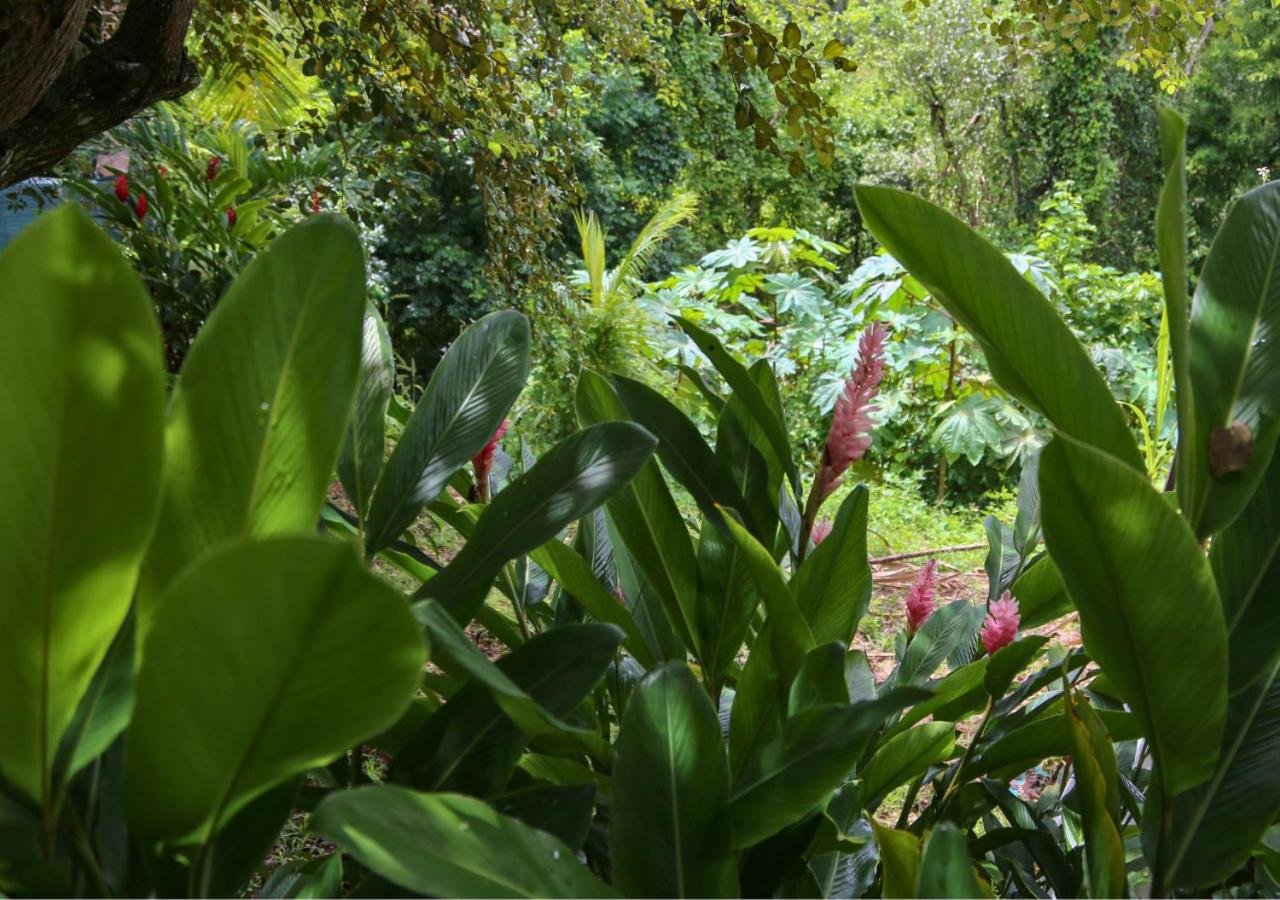 L'oasis du repos view 5