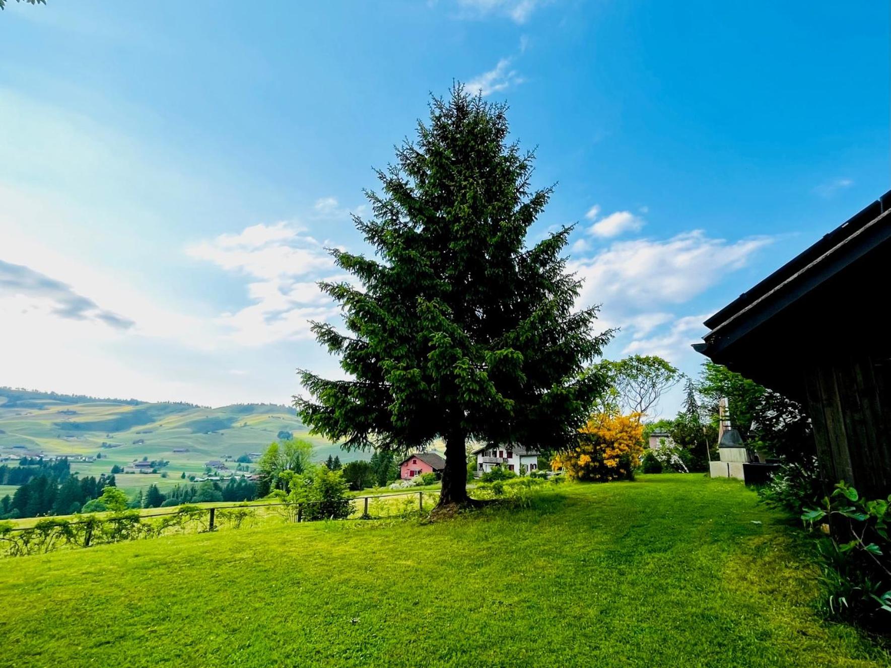 Chalet - Kleines Paradies -