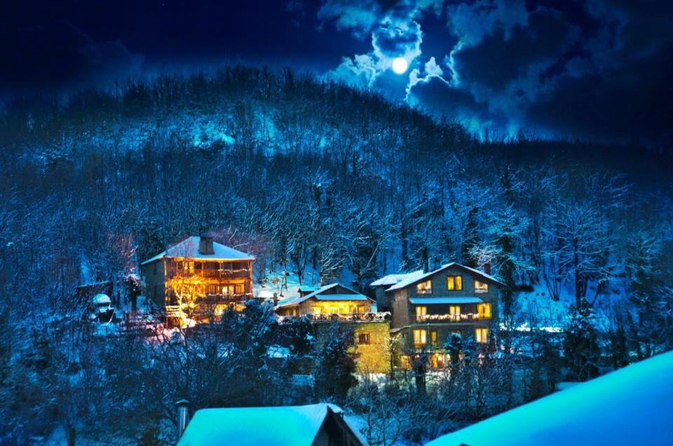 Lydia Lithos Mountain Resort photo 2