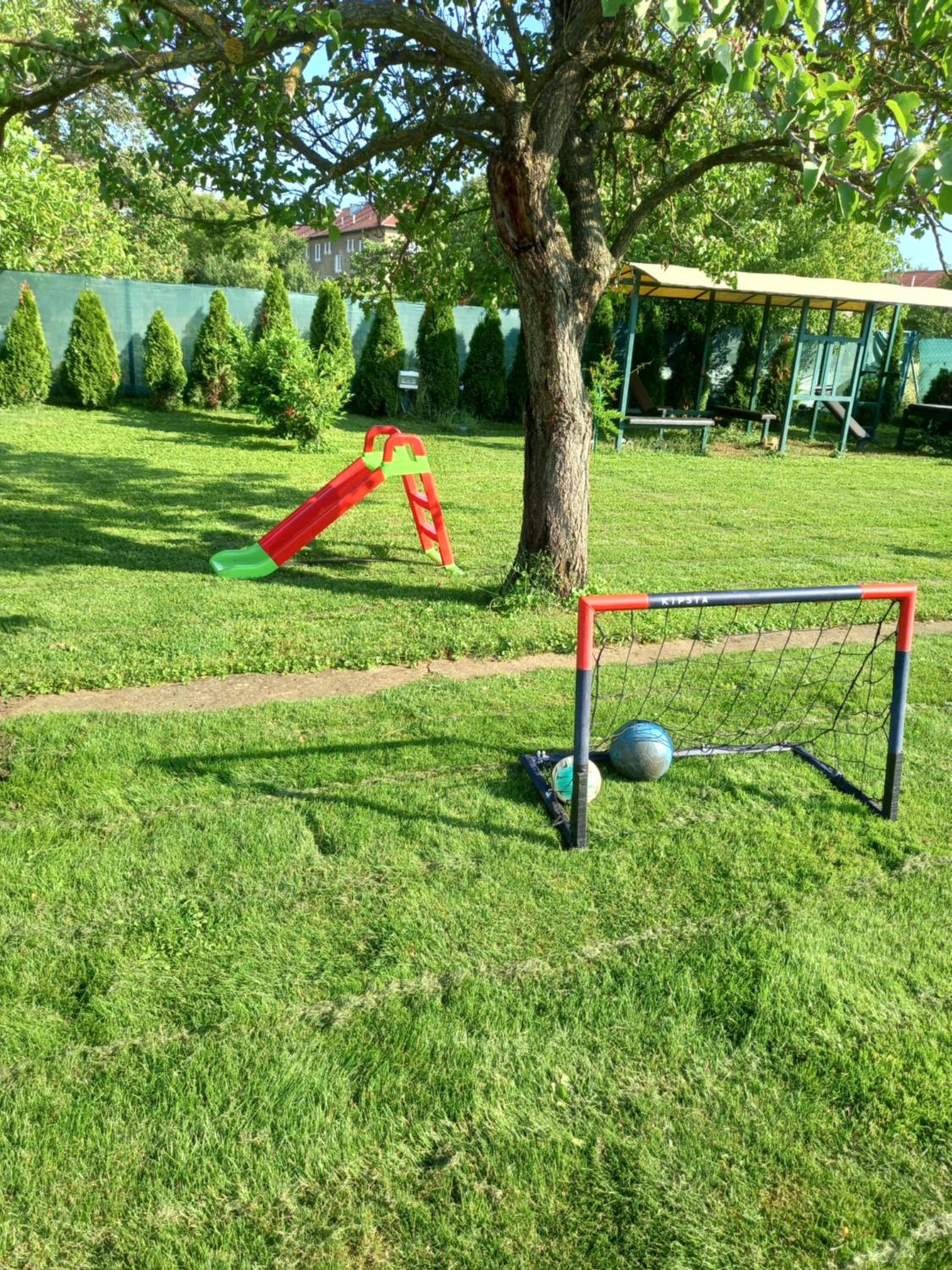 Photo 44