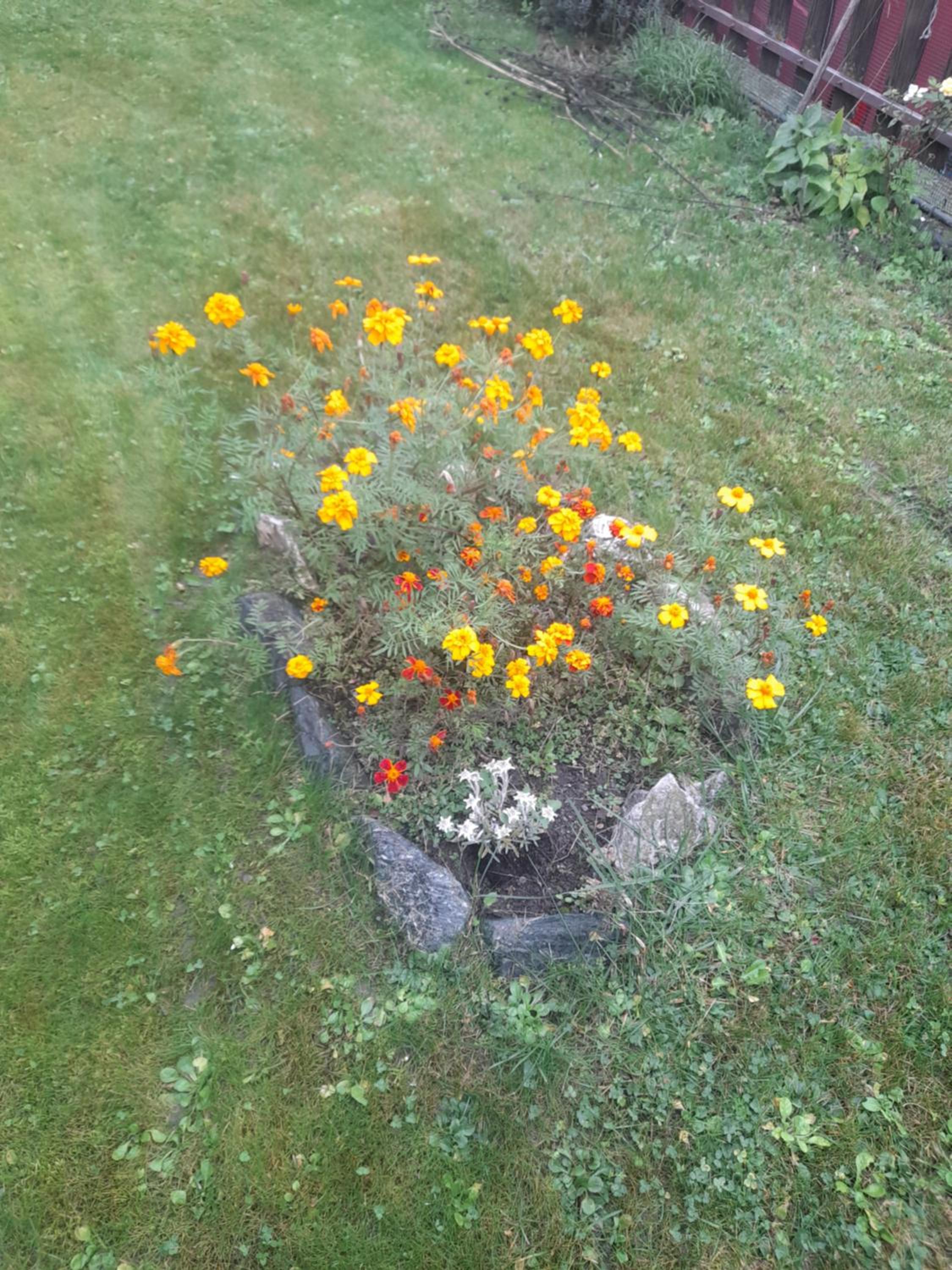 Photo 19