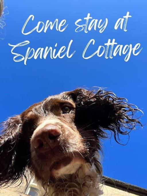 Spaniel Cottage with views of Ham hill, Stoke sub Hamdon view 2