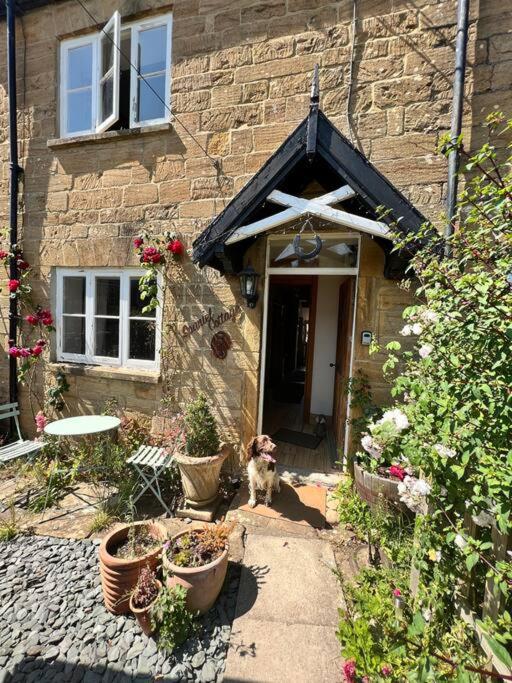 Spaniel Cottage with views of Ham hill, Stoke sub Hamdon view 4