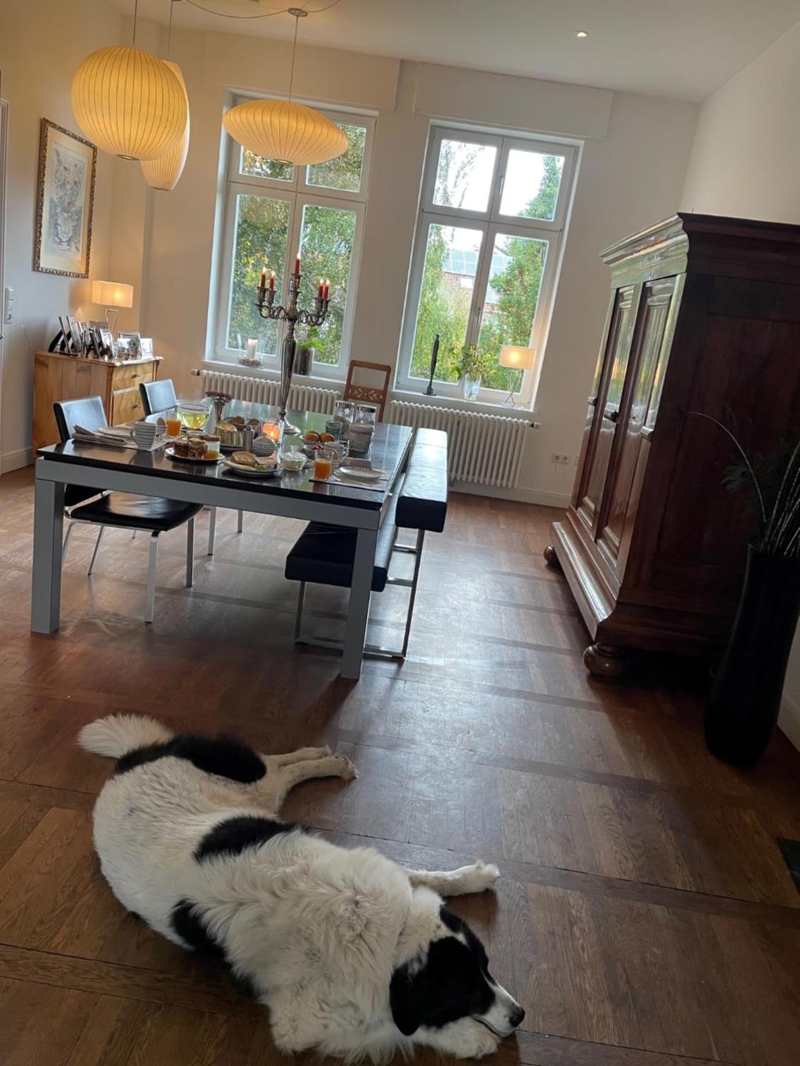 Villa Krafft Bed&Breakfast