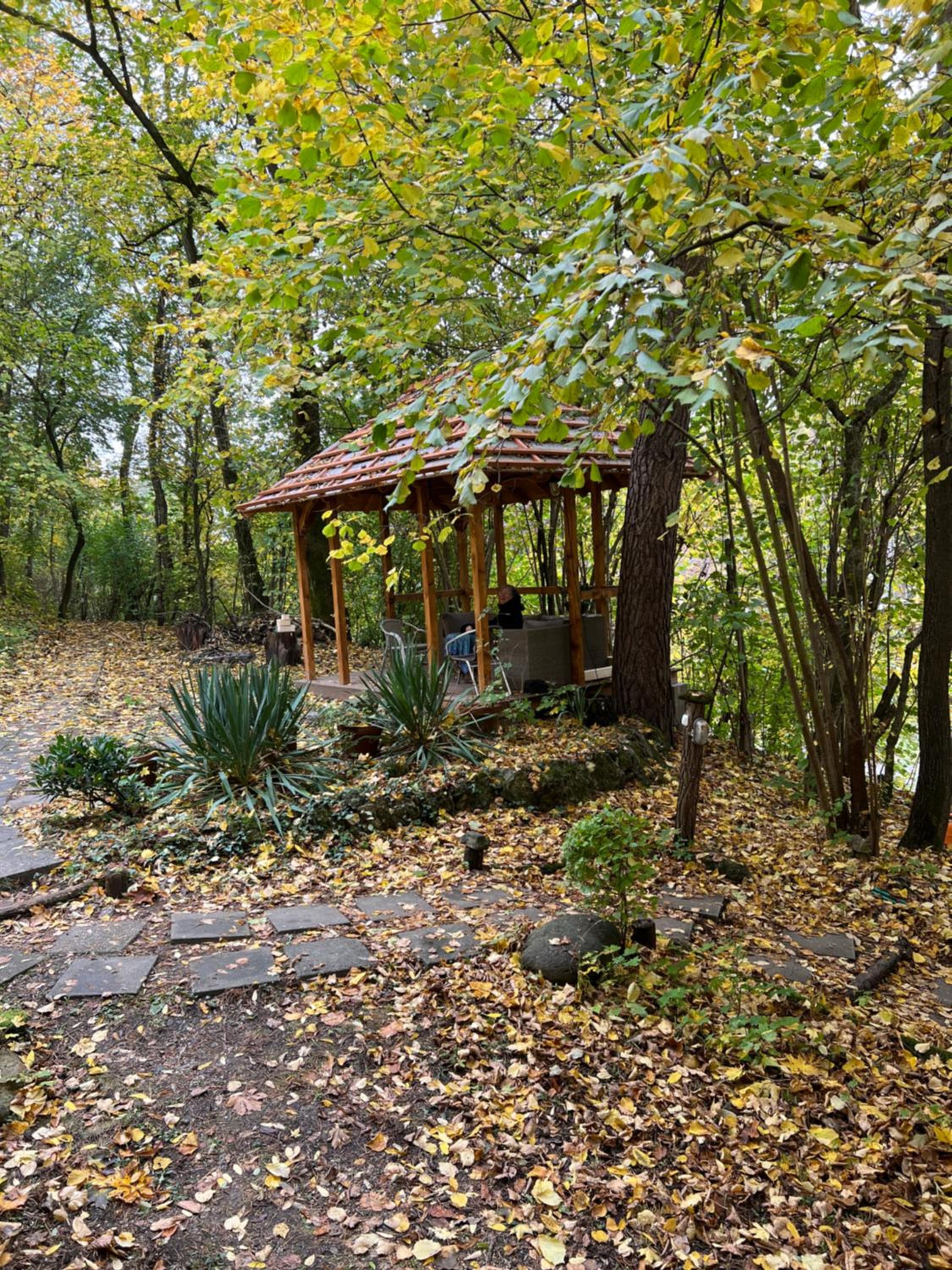 Nobuta Vendégház view 5