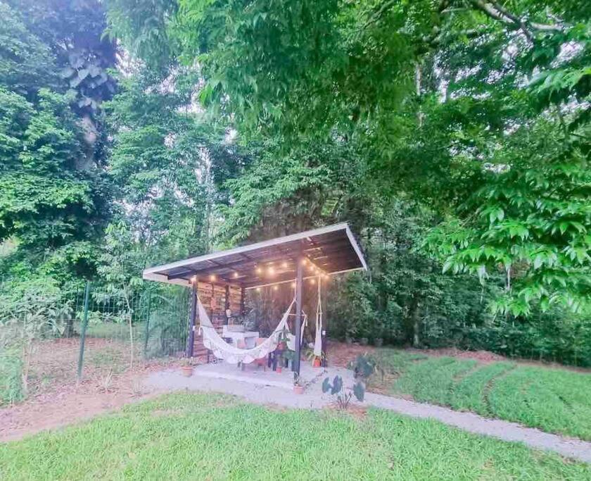 Ananá Studio in Garden Level