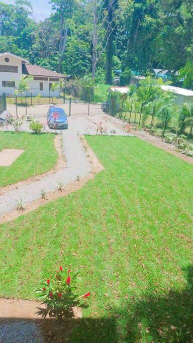 Ananá Studio in Garden Level