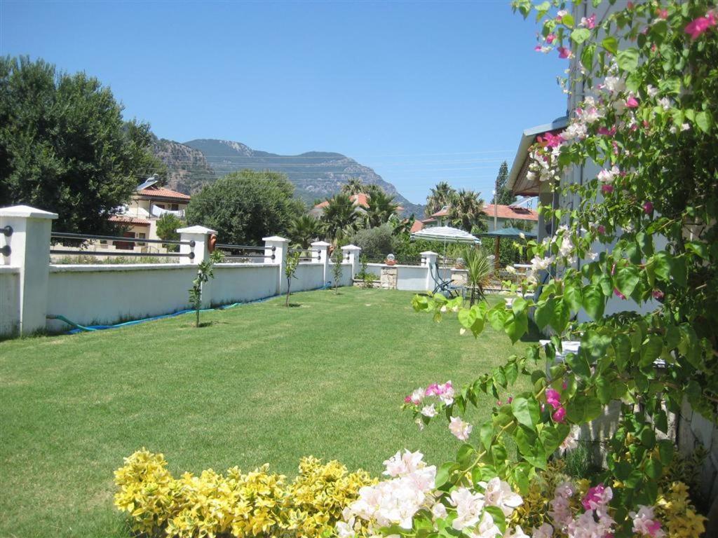Photo 13