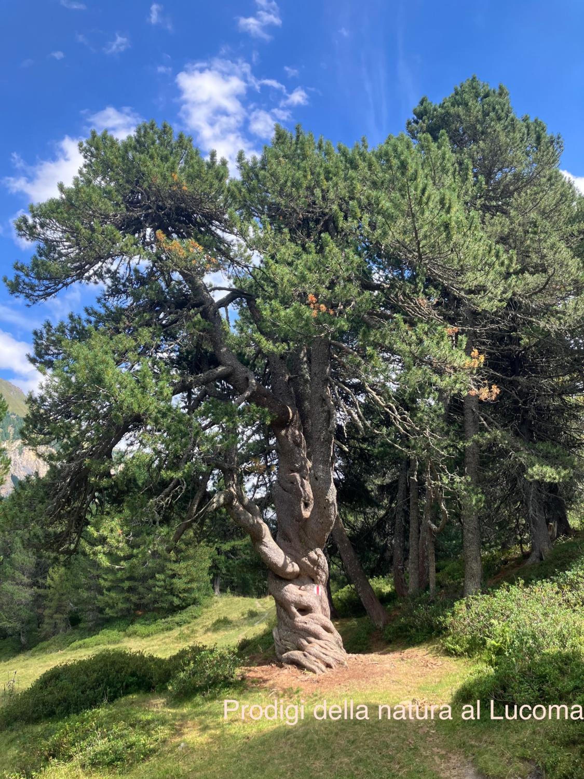 Serravalle - Casermetta
