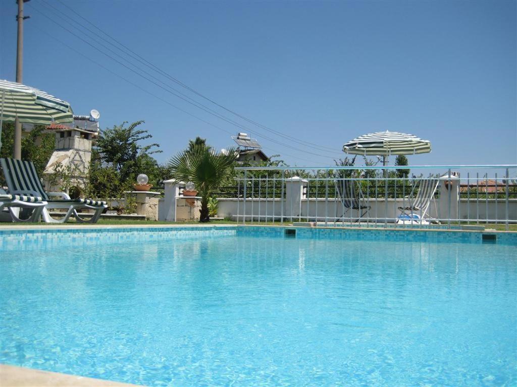 Photo 12