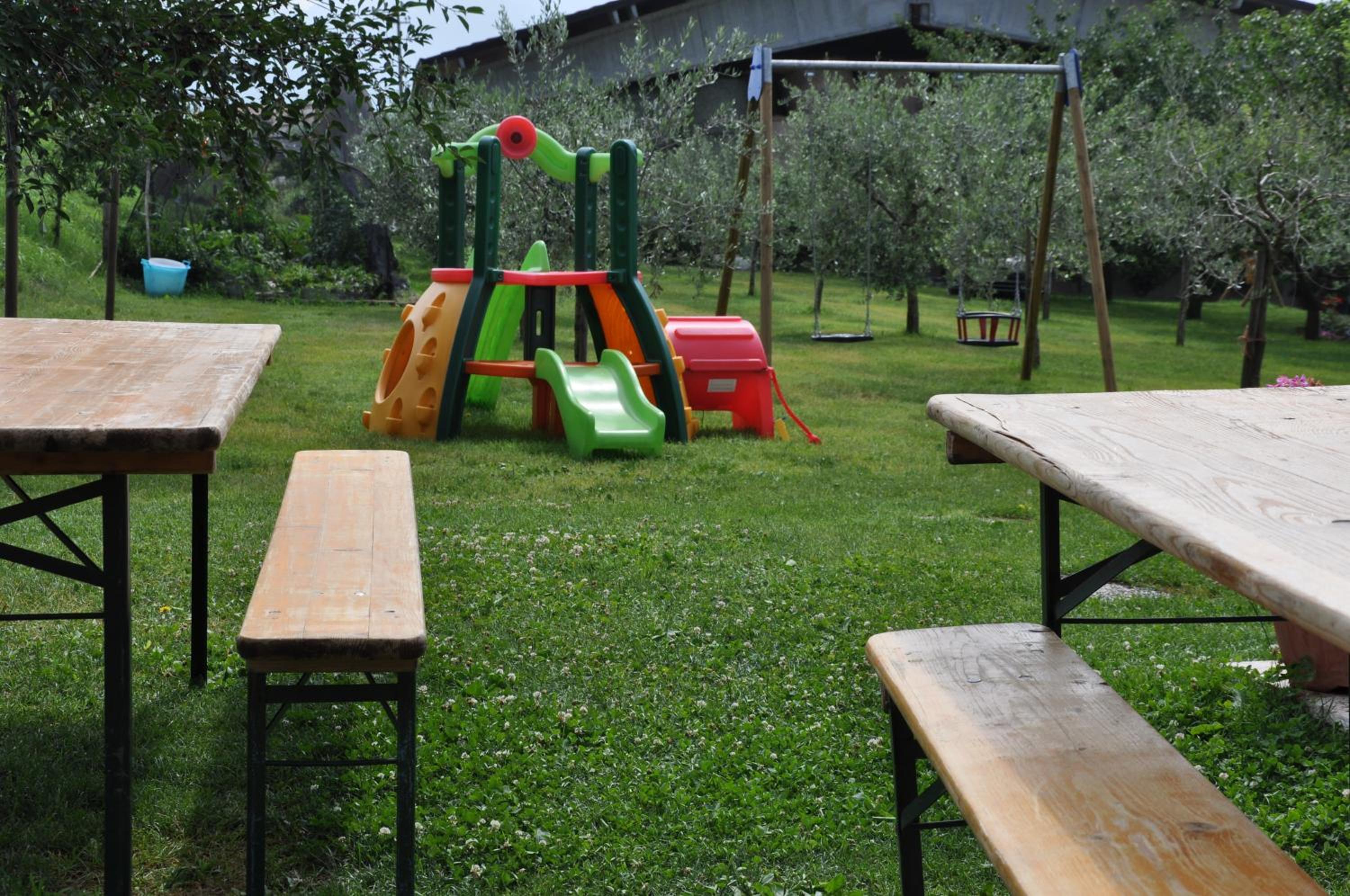 Photo 11