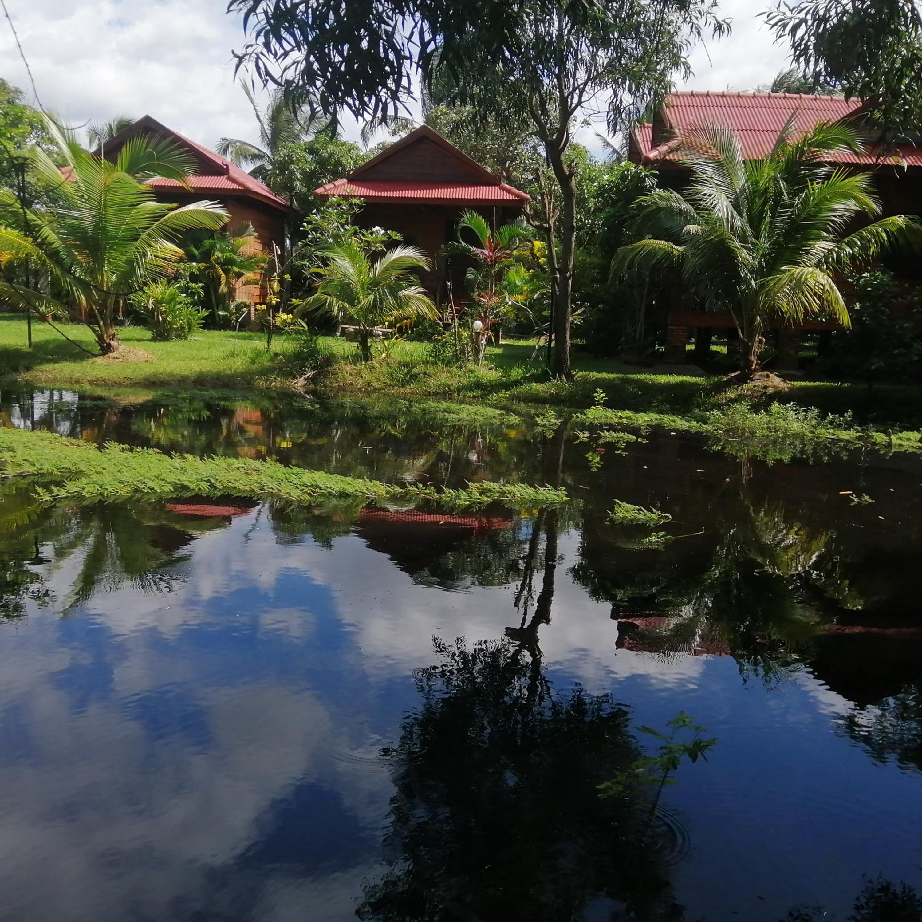 The Hidden Oasis Bungalows view 4
