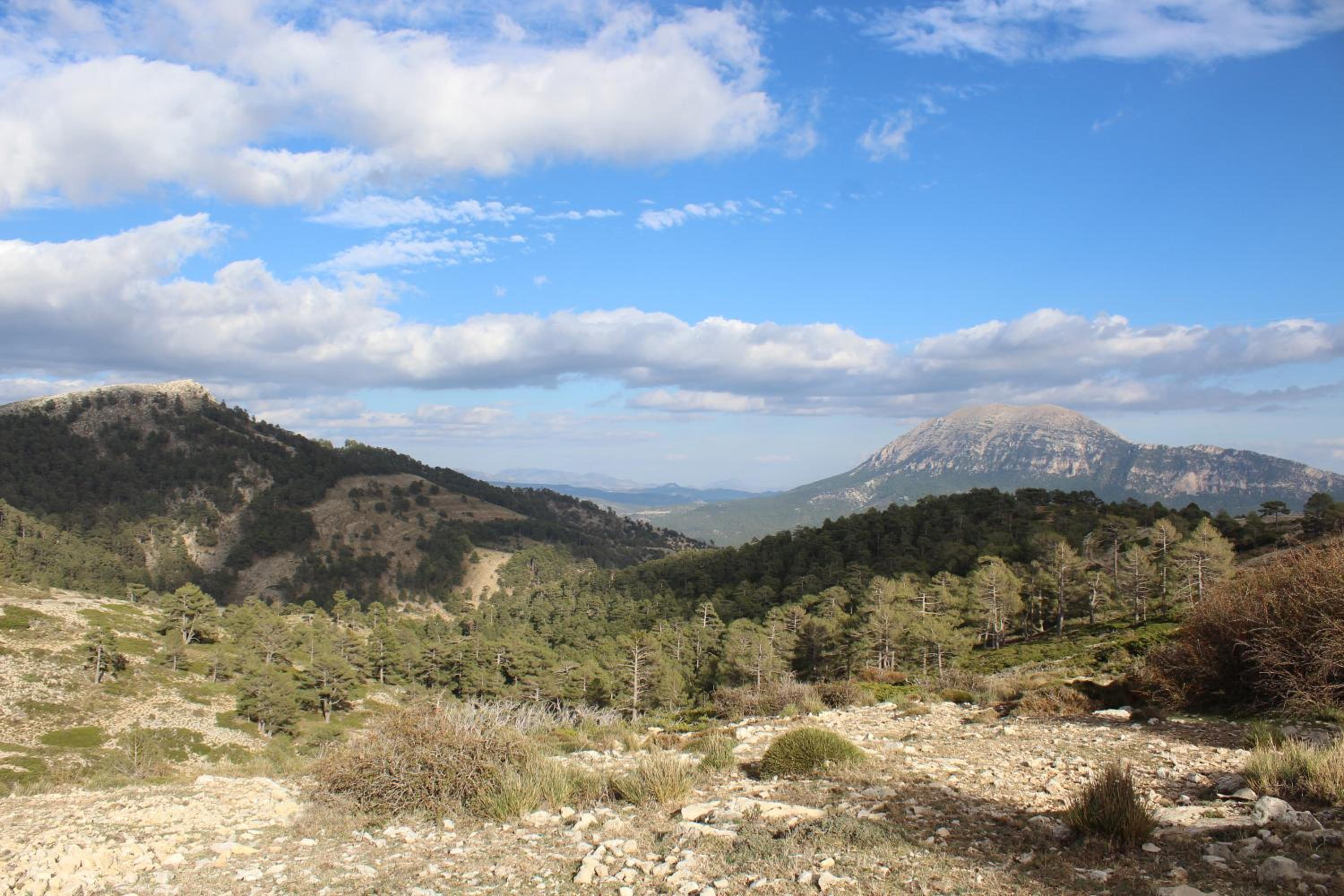 La Noguera Casa Rural