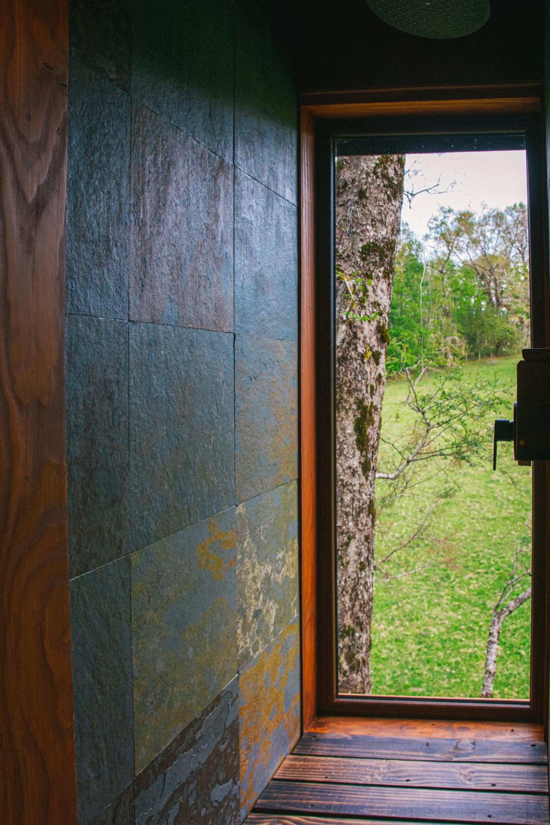 PUCON Casa Arbol