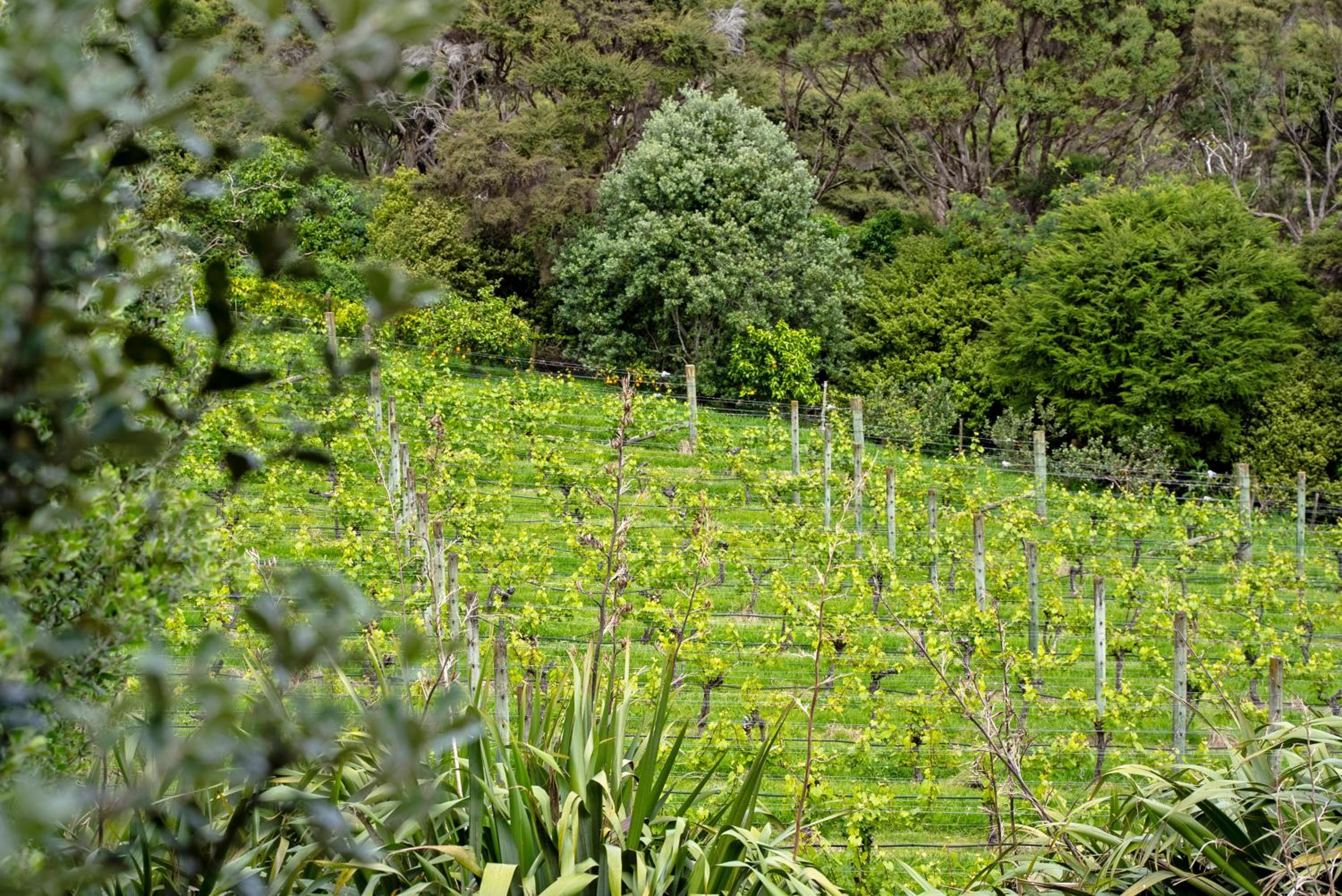 Winemakers Loft