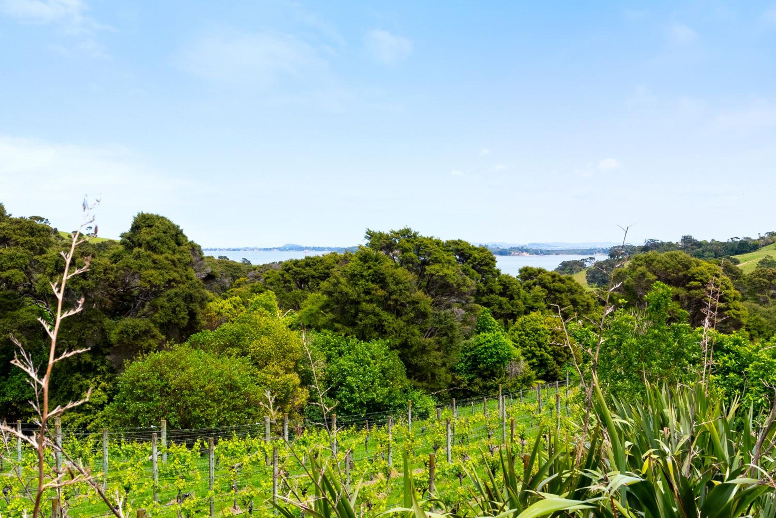 Winemakers Loft