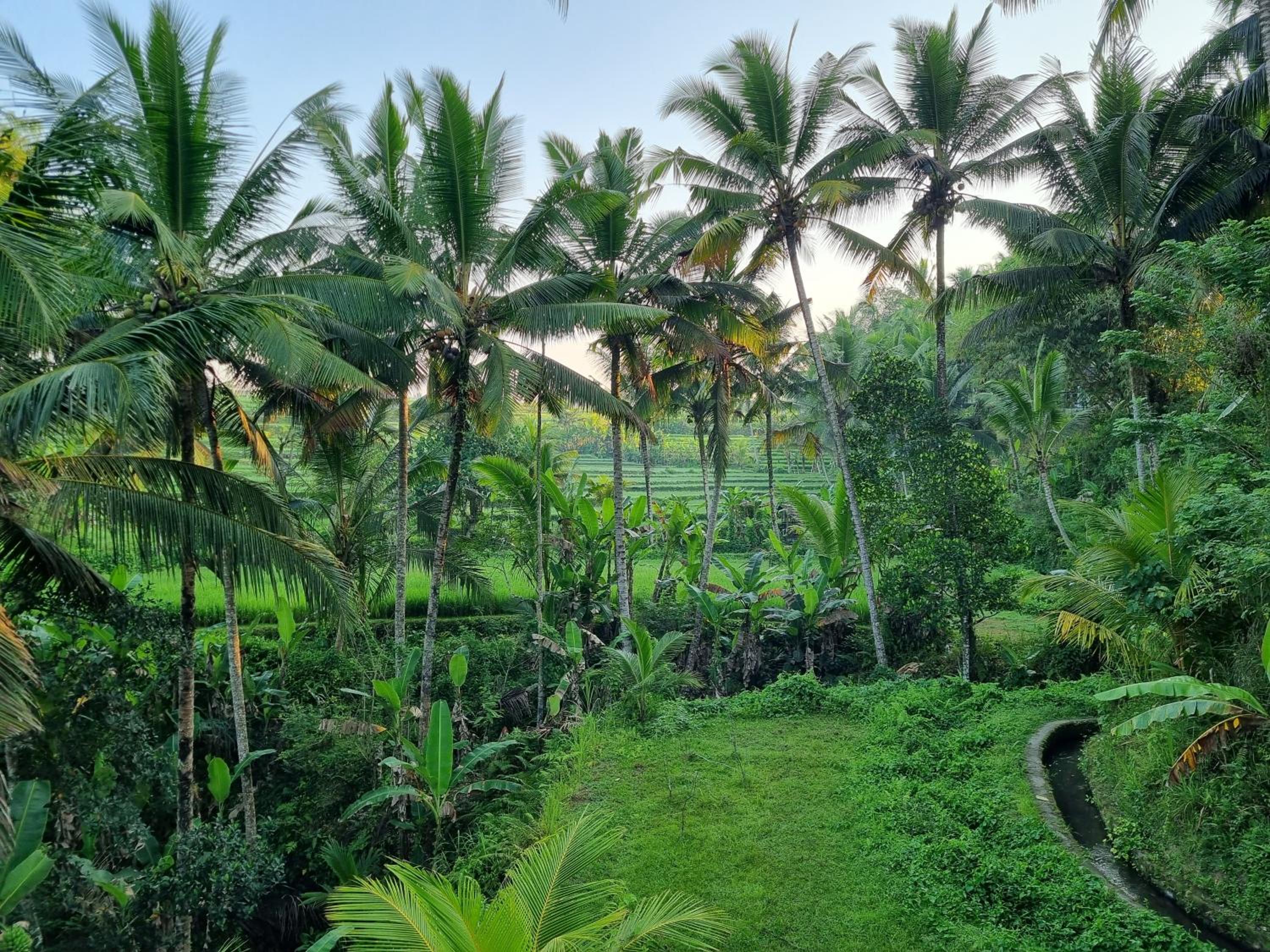 Puri Sebali Resort