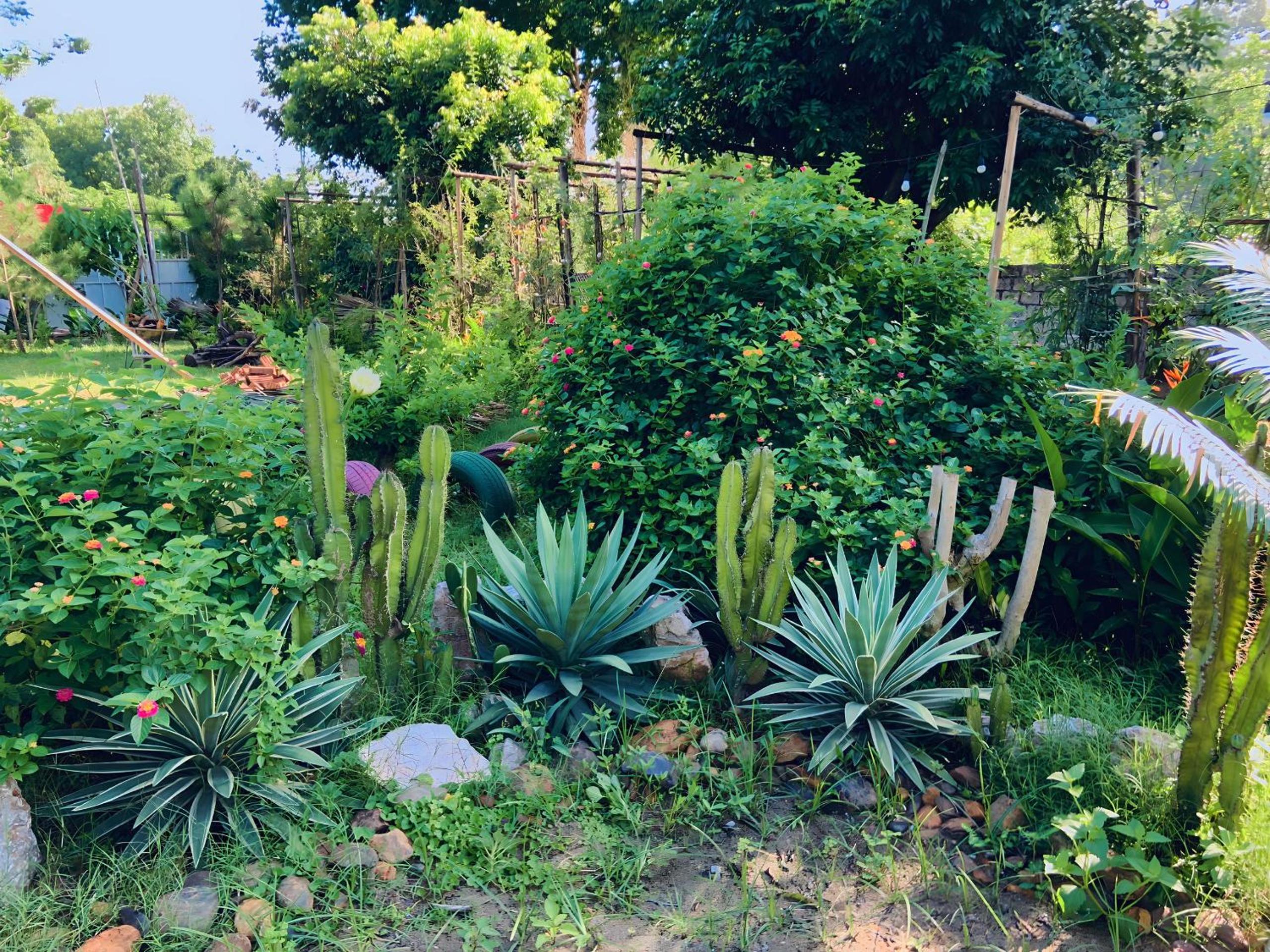 Chill Garden Lakeview Venuestay
