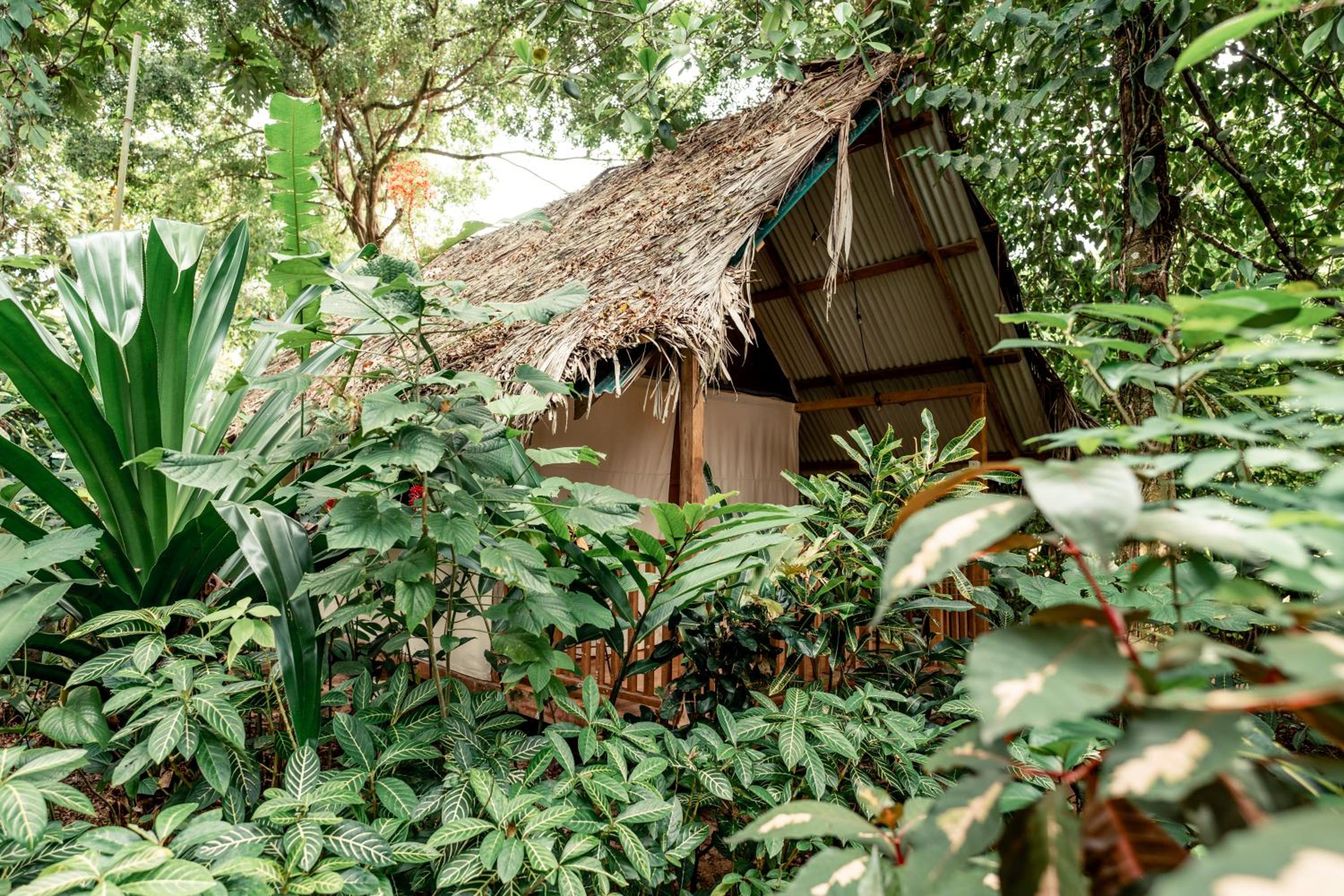 Palmar Beach Lodge