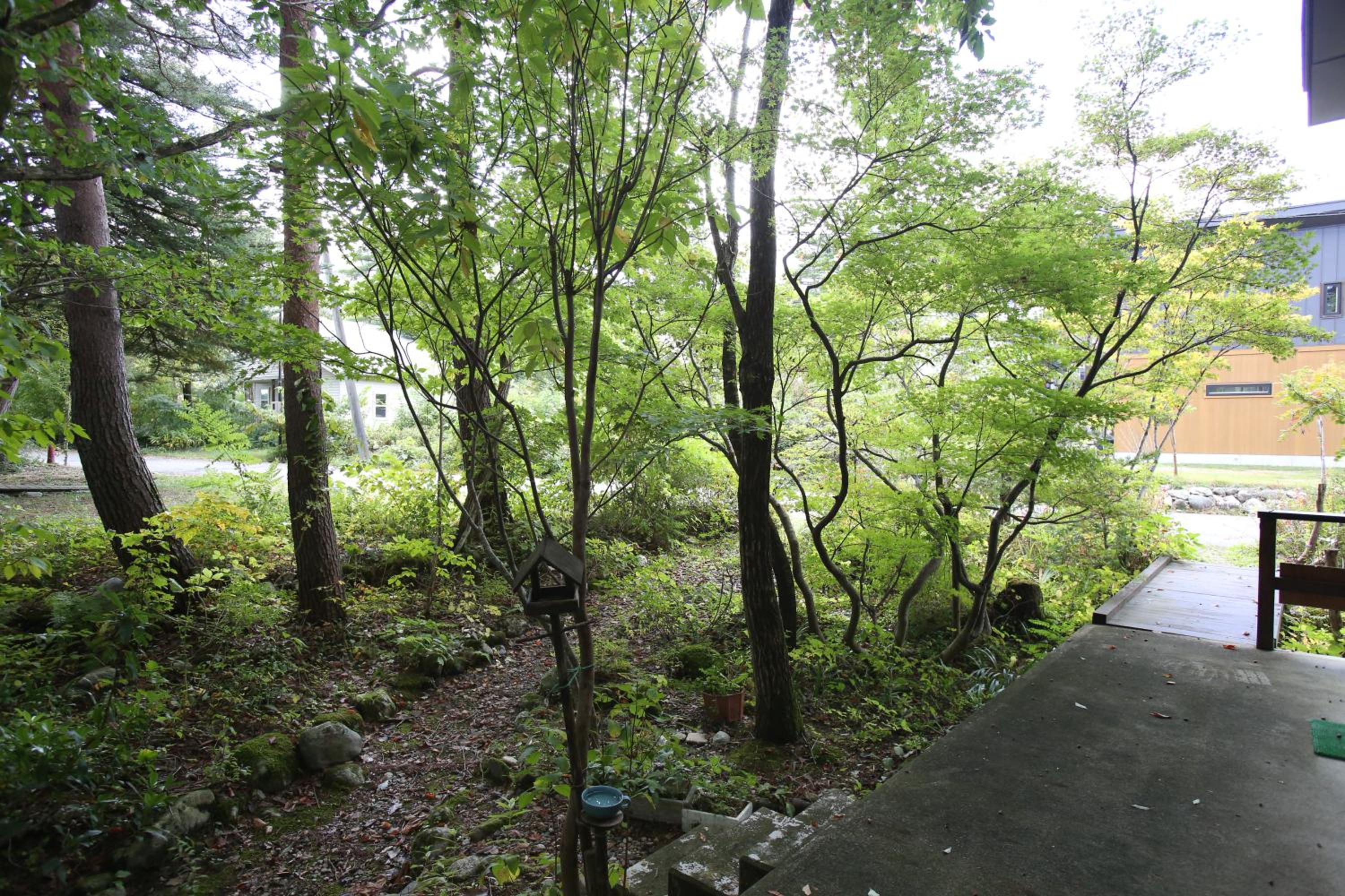 Photo 23
