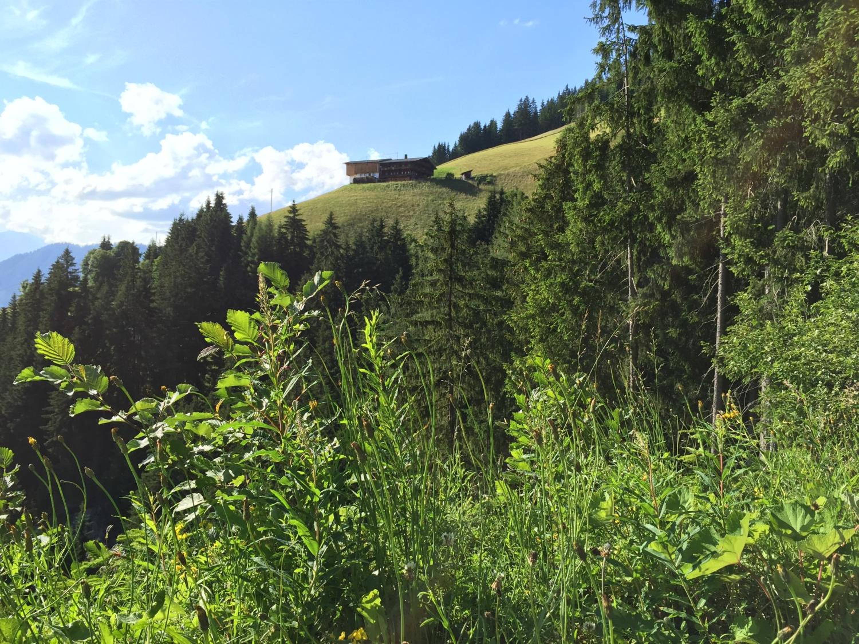 Wellnessappartements Margit