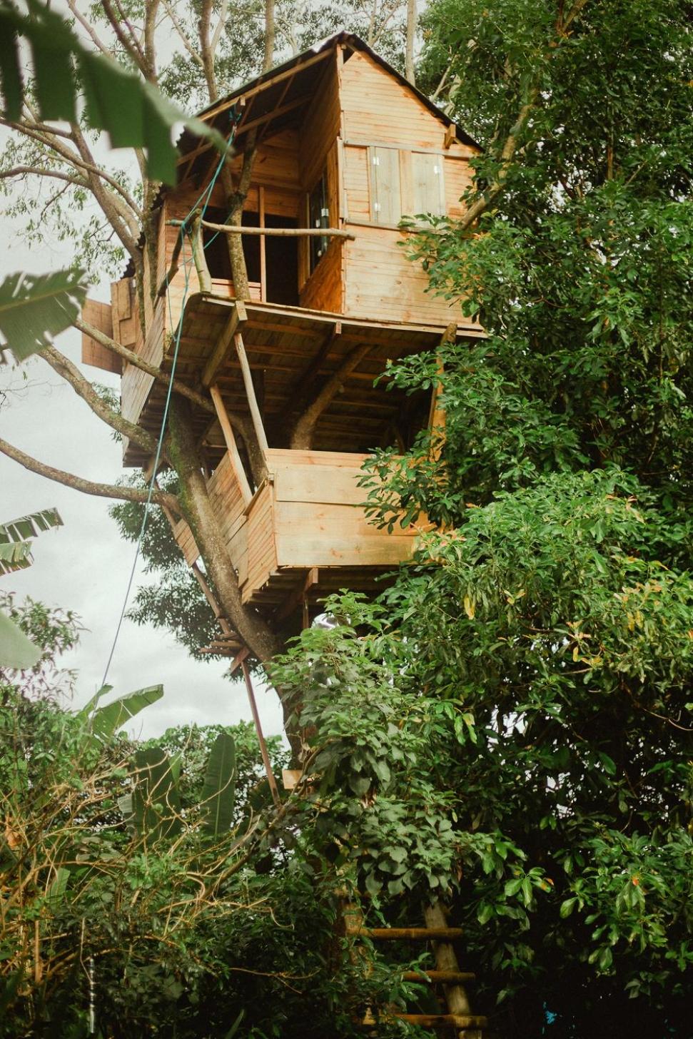 Espaço Cultural Lotus - Suítes, Hostel e Camping